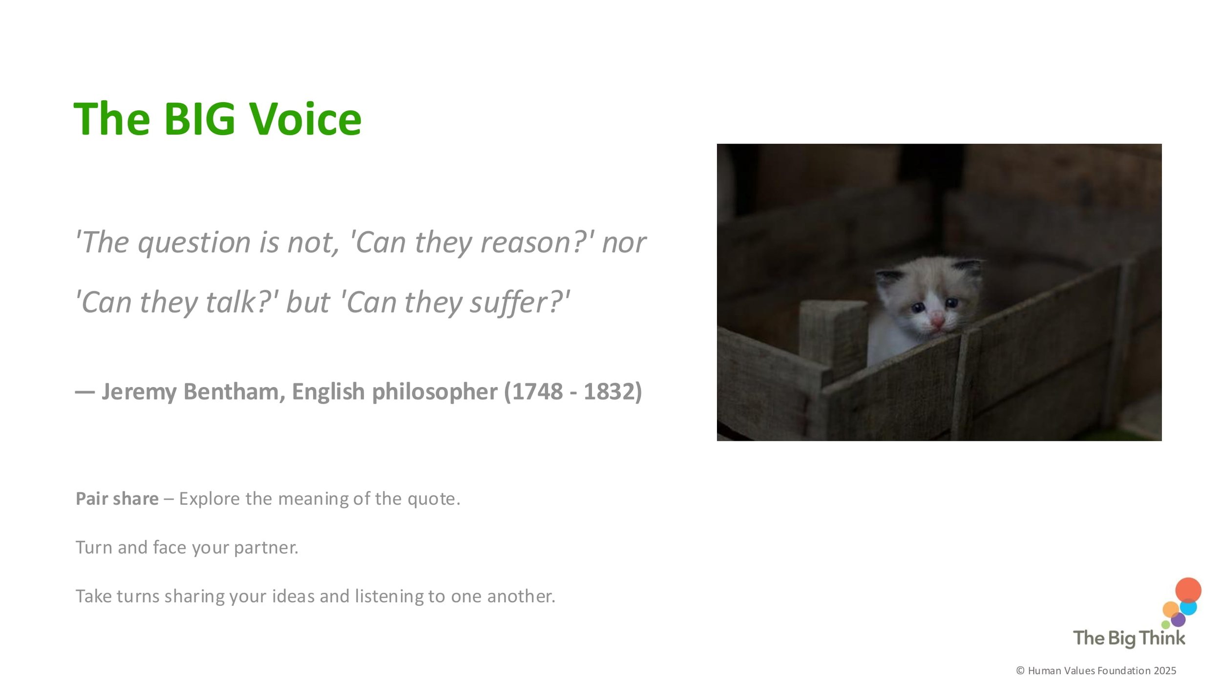 COMMUNITY C2 Kindness to Animals LESSON SCREENS KS1-07.jpg
