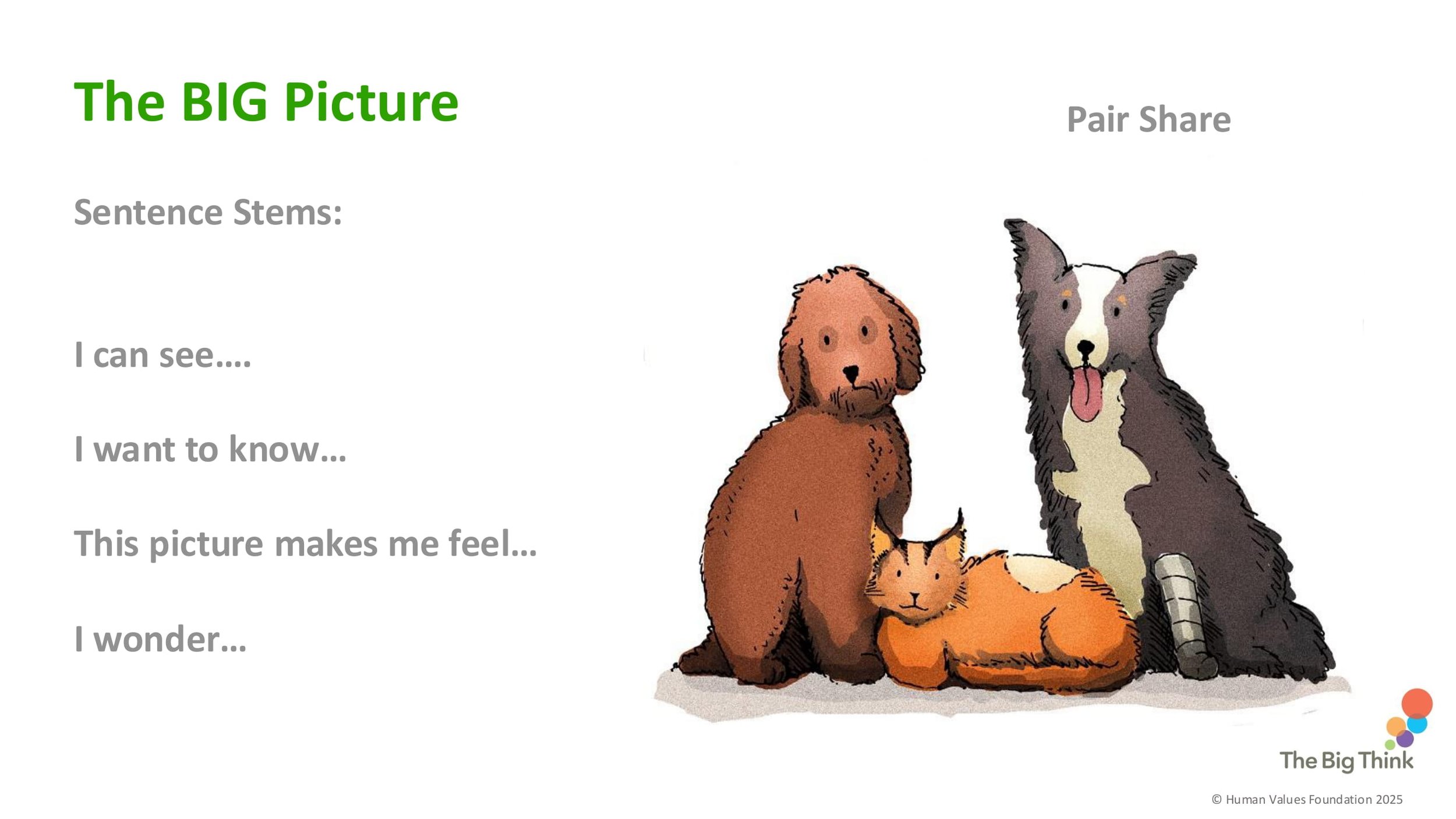 COMMUNITY C2 Kindness to Animals LESSON SCREENS KS1-08.jpg