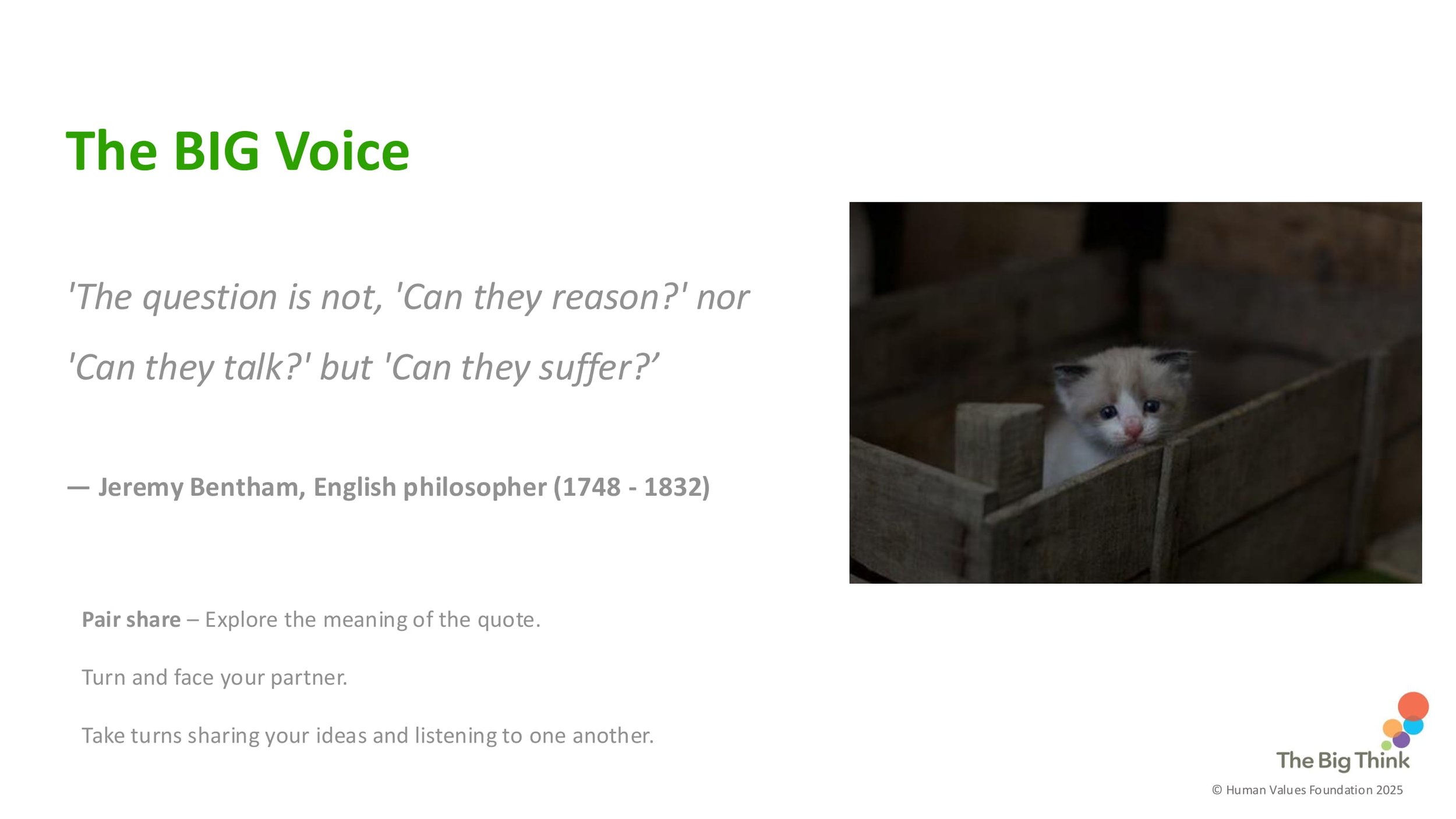 COMMUNITY C2 Kindness to Animals LESSON SCREENS KS2-07.jpg