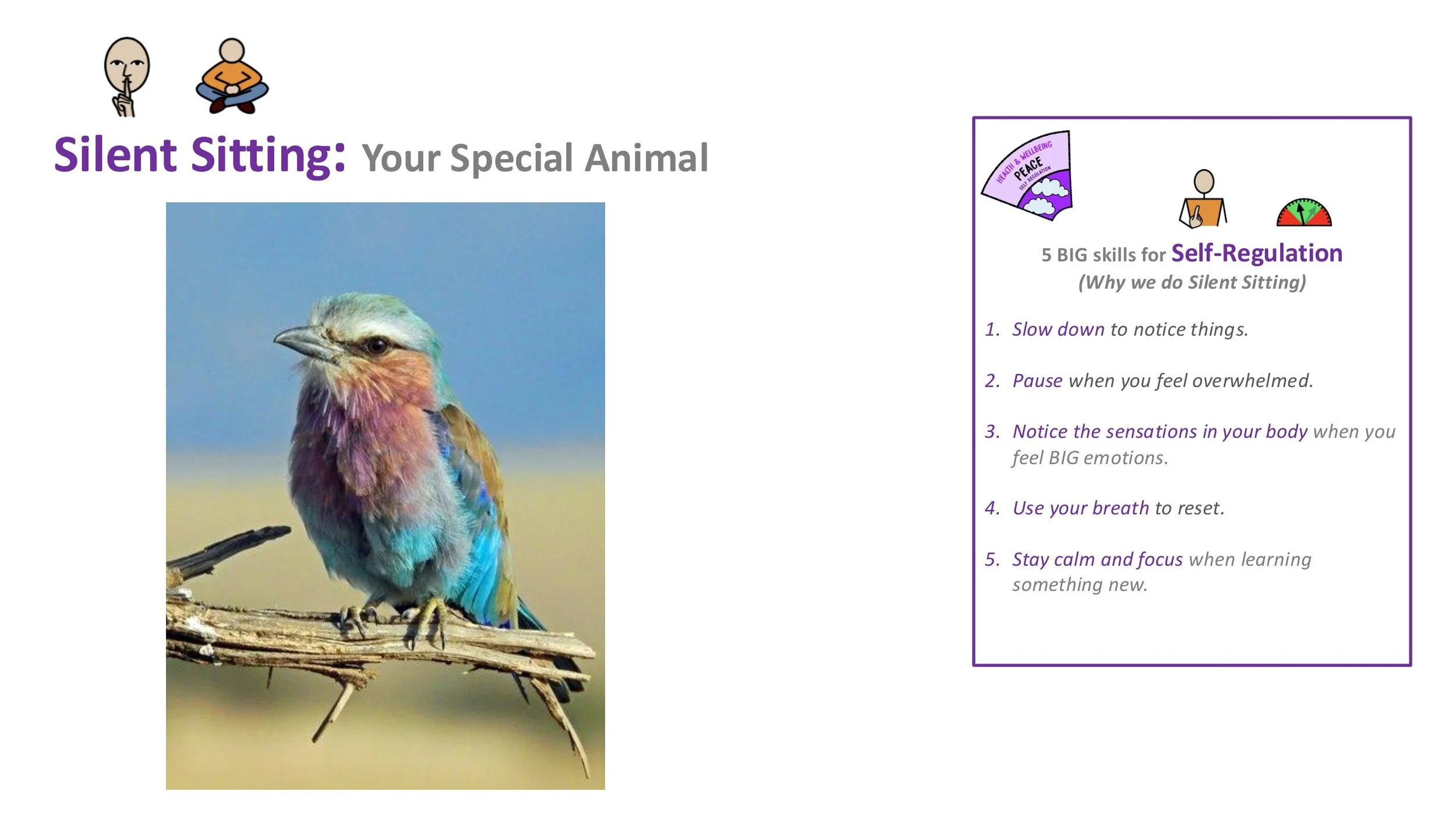 P9 Play Follow-on LESSON SCREENS KS2-02.jpg