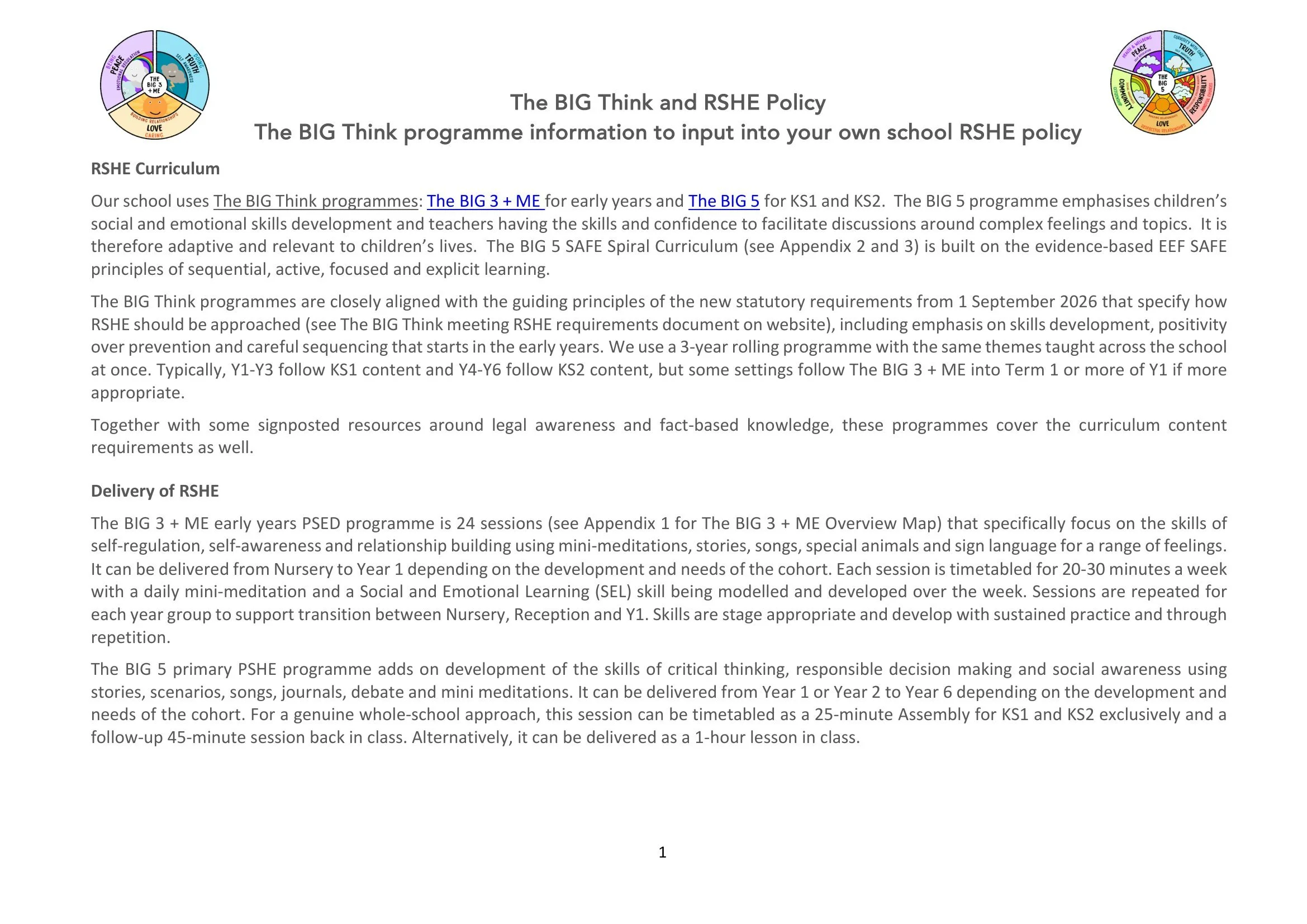 The BIG Think programme notes for School RSHE Policy-1.jpg