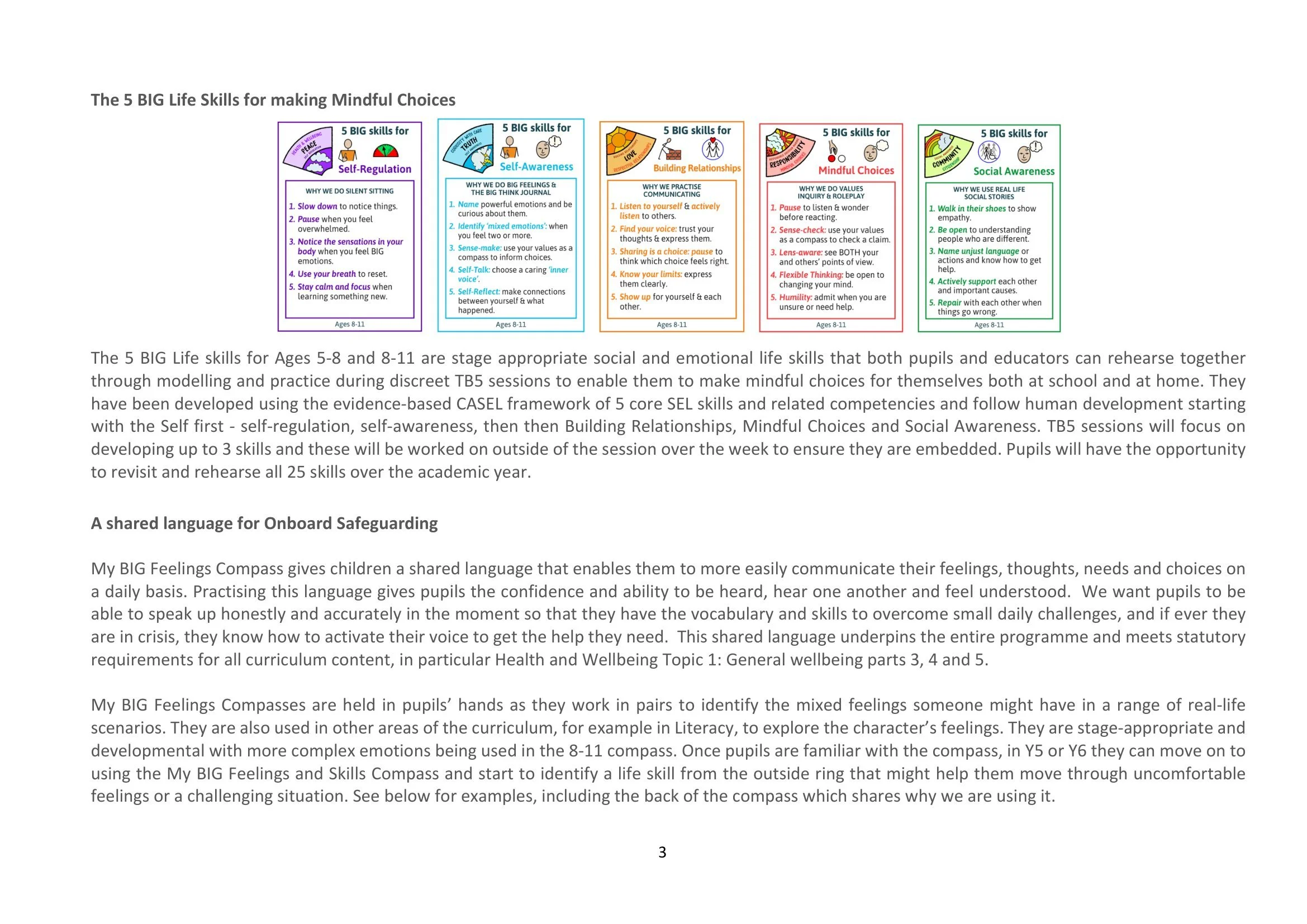 The BIG Think programme notes for School RSHE Policy-3.jpg