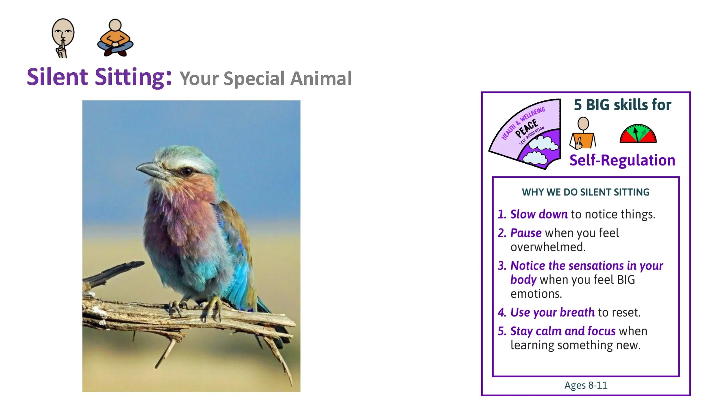 P9 Play Follow-on LESSON SCREENS KS2-02.jpg