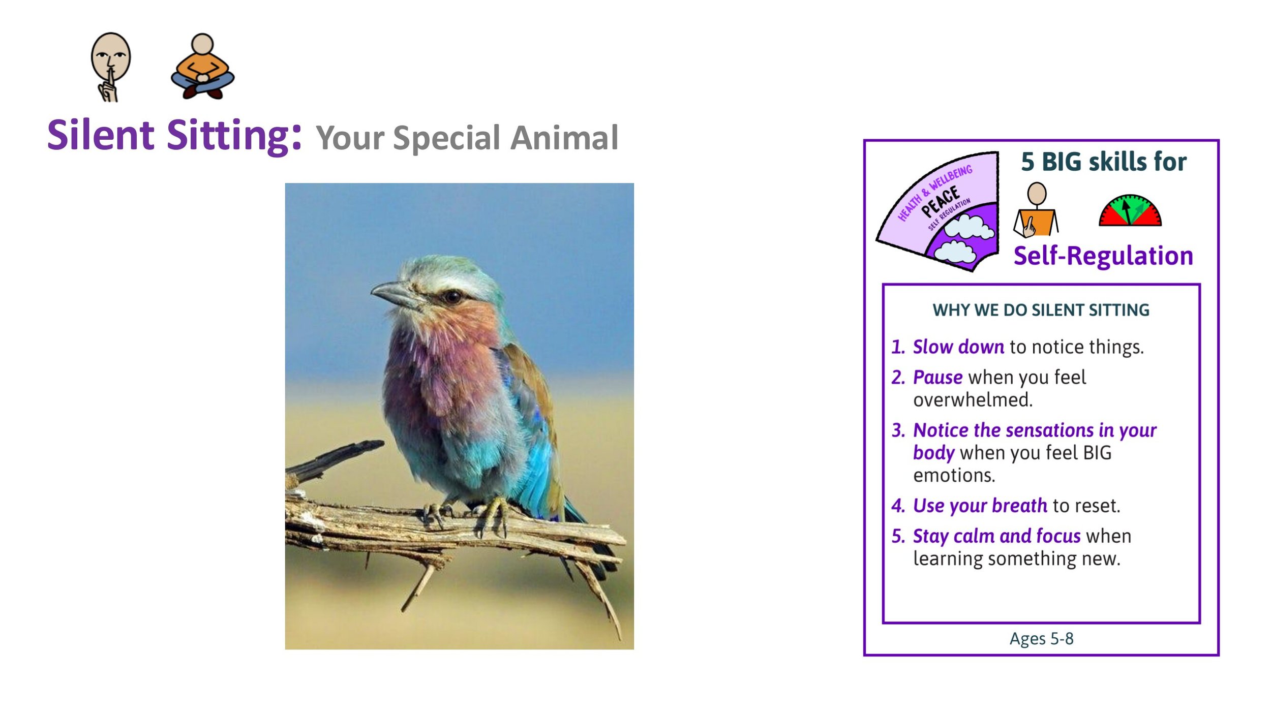 PEACE P7 Belonging Follow-on LESSON SCREENS KS1-02.jpg