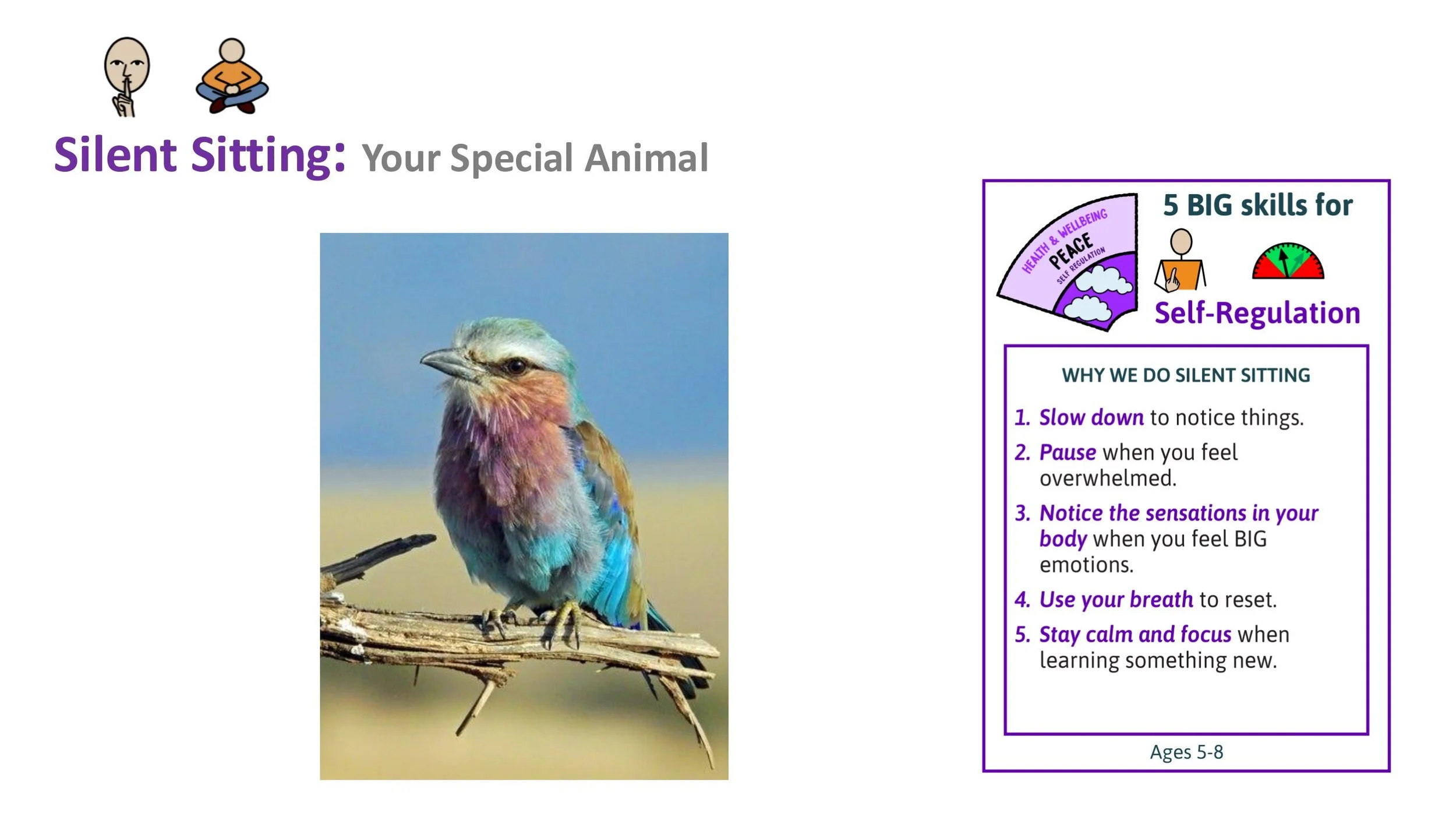 PEACE P7 Play Follow-on LESSON SCREENS KS1-02.jpg