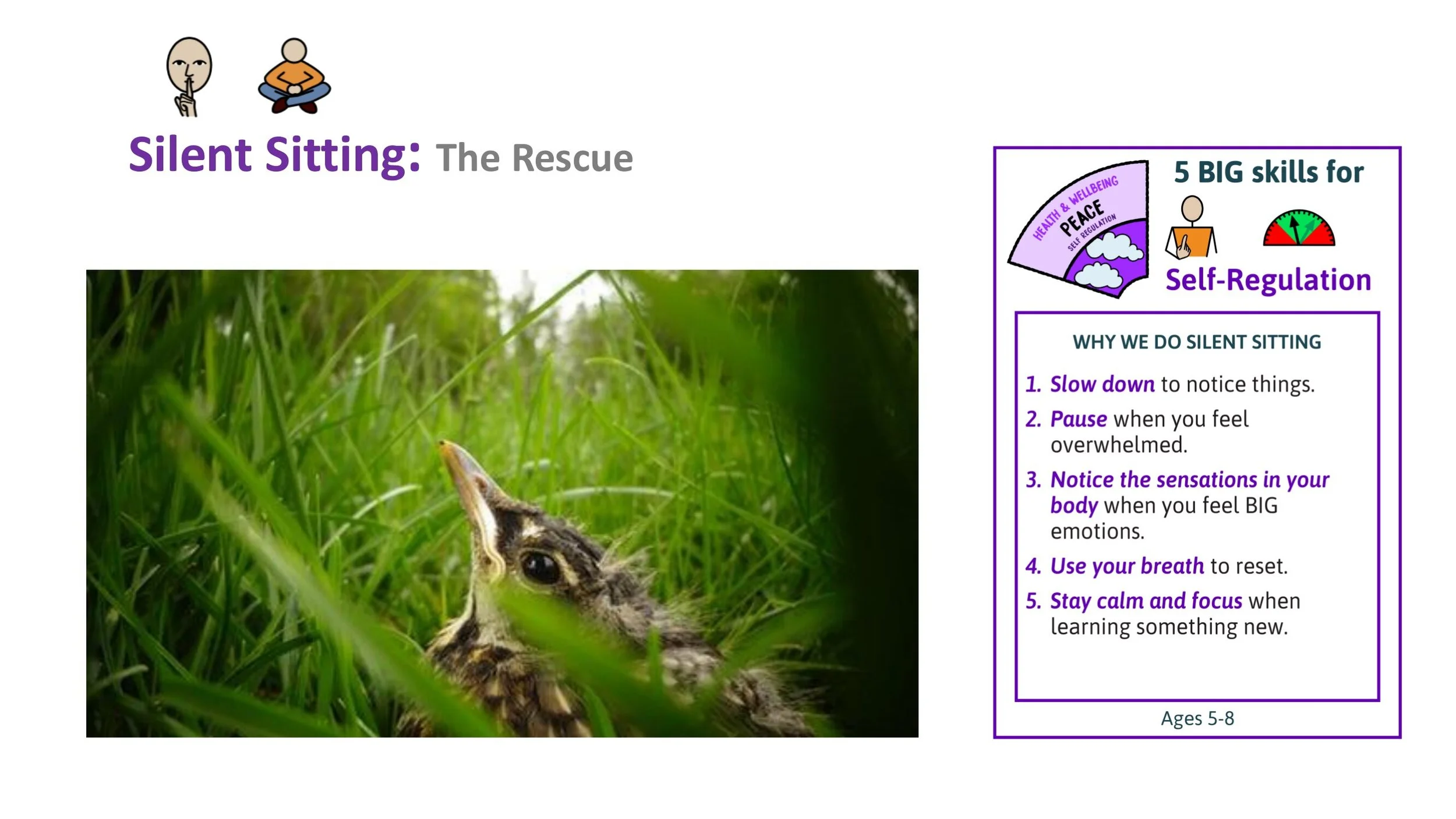 PEACE P10 Alertness Stand-alone LESSON SCREENS KS1-02.jpg
