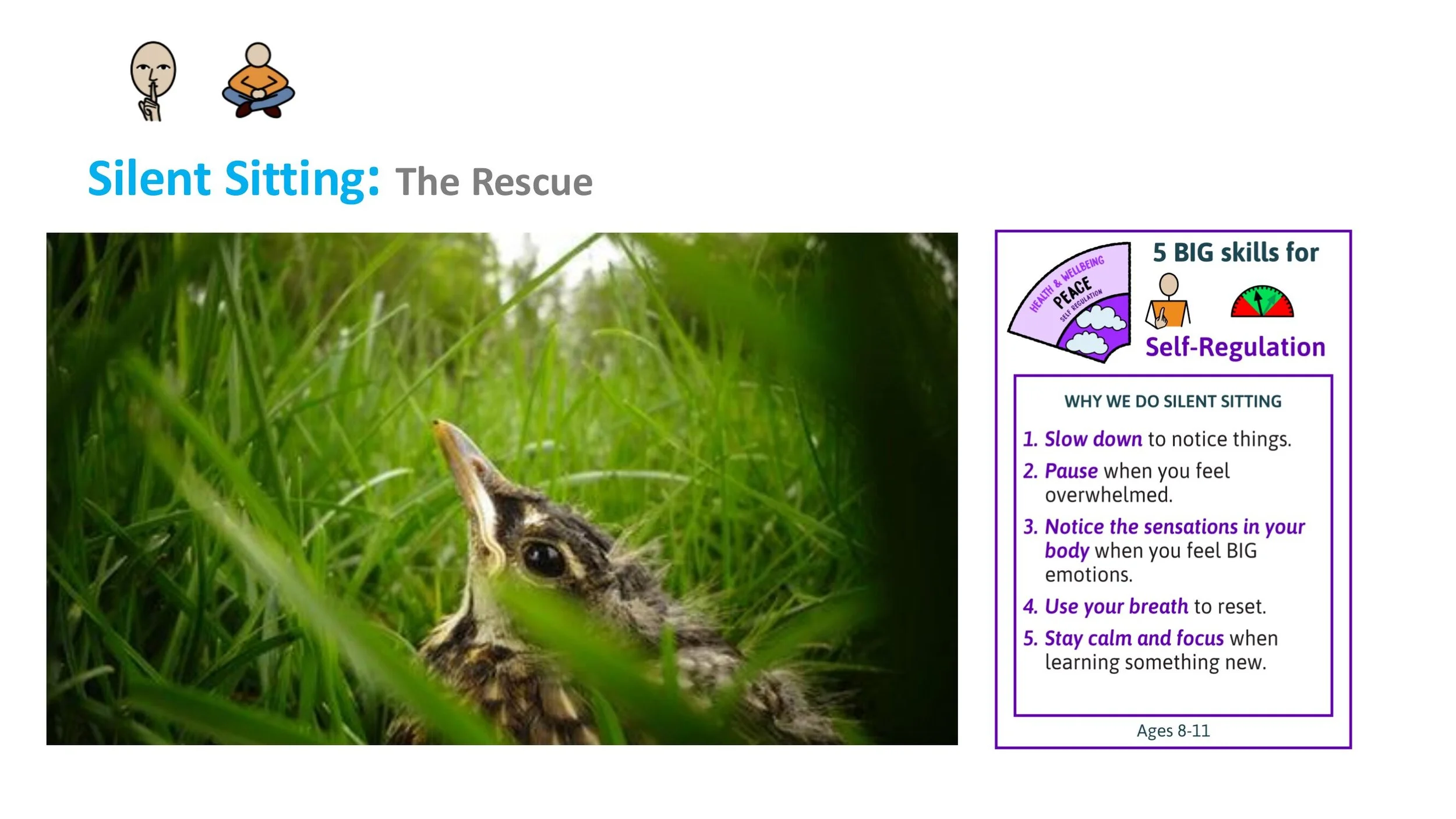 TRUTH T7 Empathy Follow-on LESSON SCREENS KS2-02.jpg