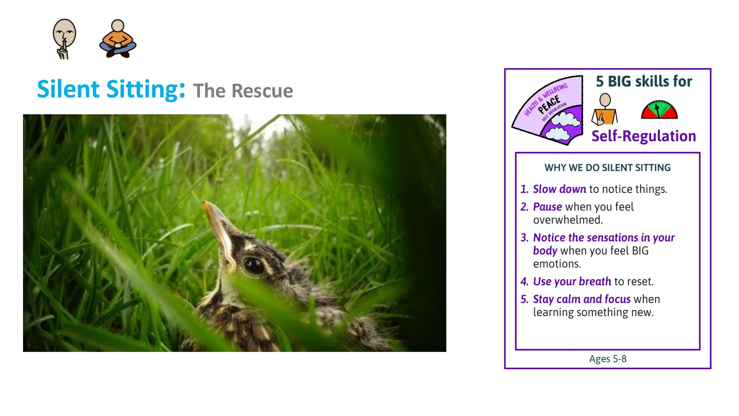 TRUTH T12 Freedom Follow-on LESSON SCREENS KS1-02.jpg