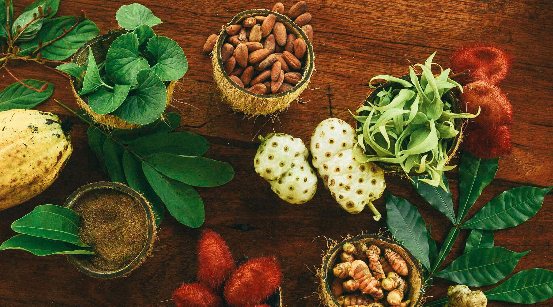 herbalism-punta-mona.jpg