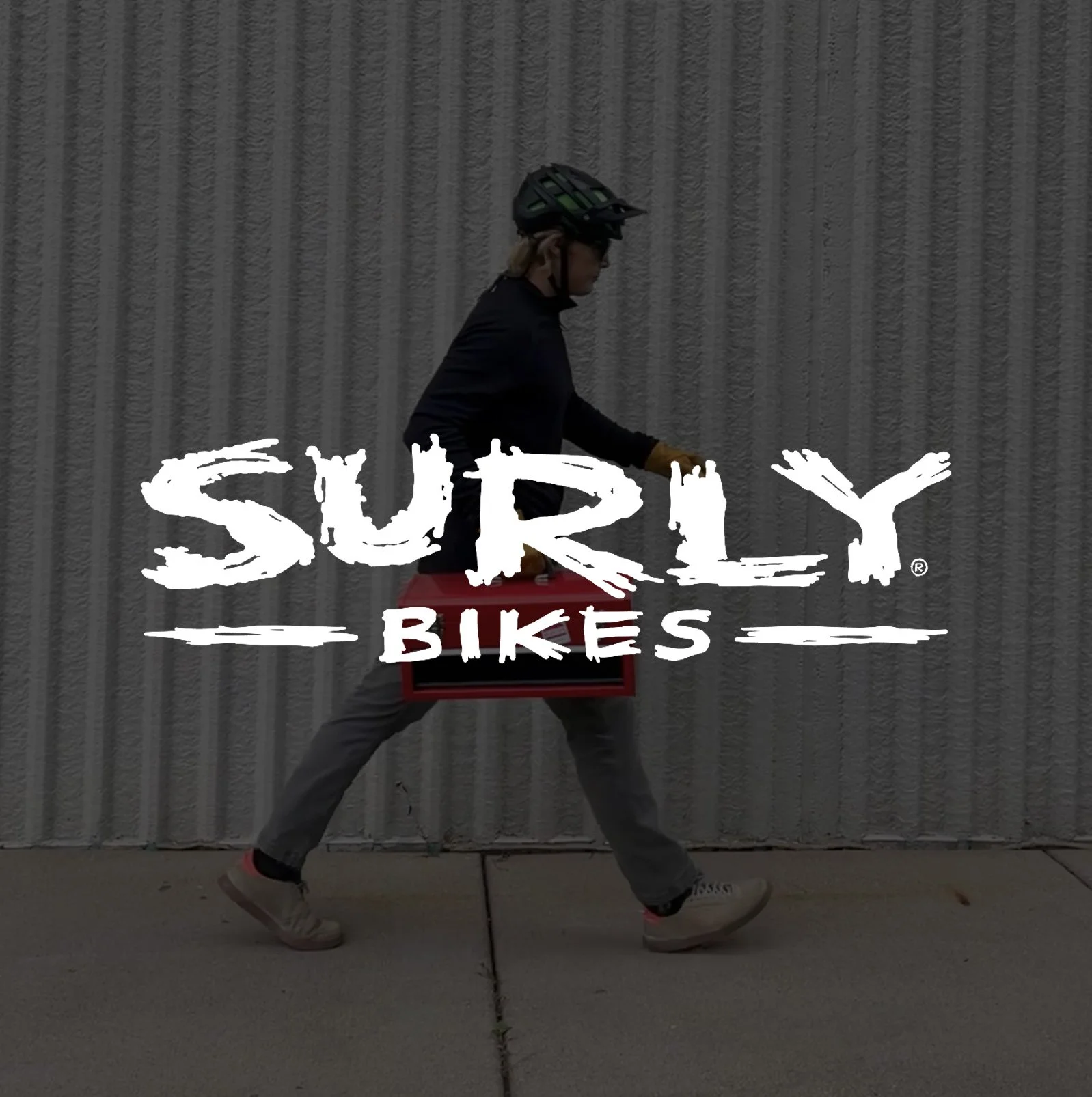 SURLYBikes_Logo.jpg