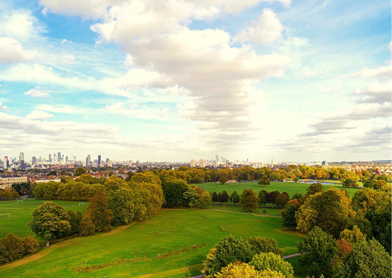 W e D a n c e on the Common - with Community Picnic afterwards