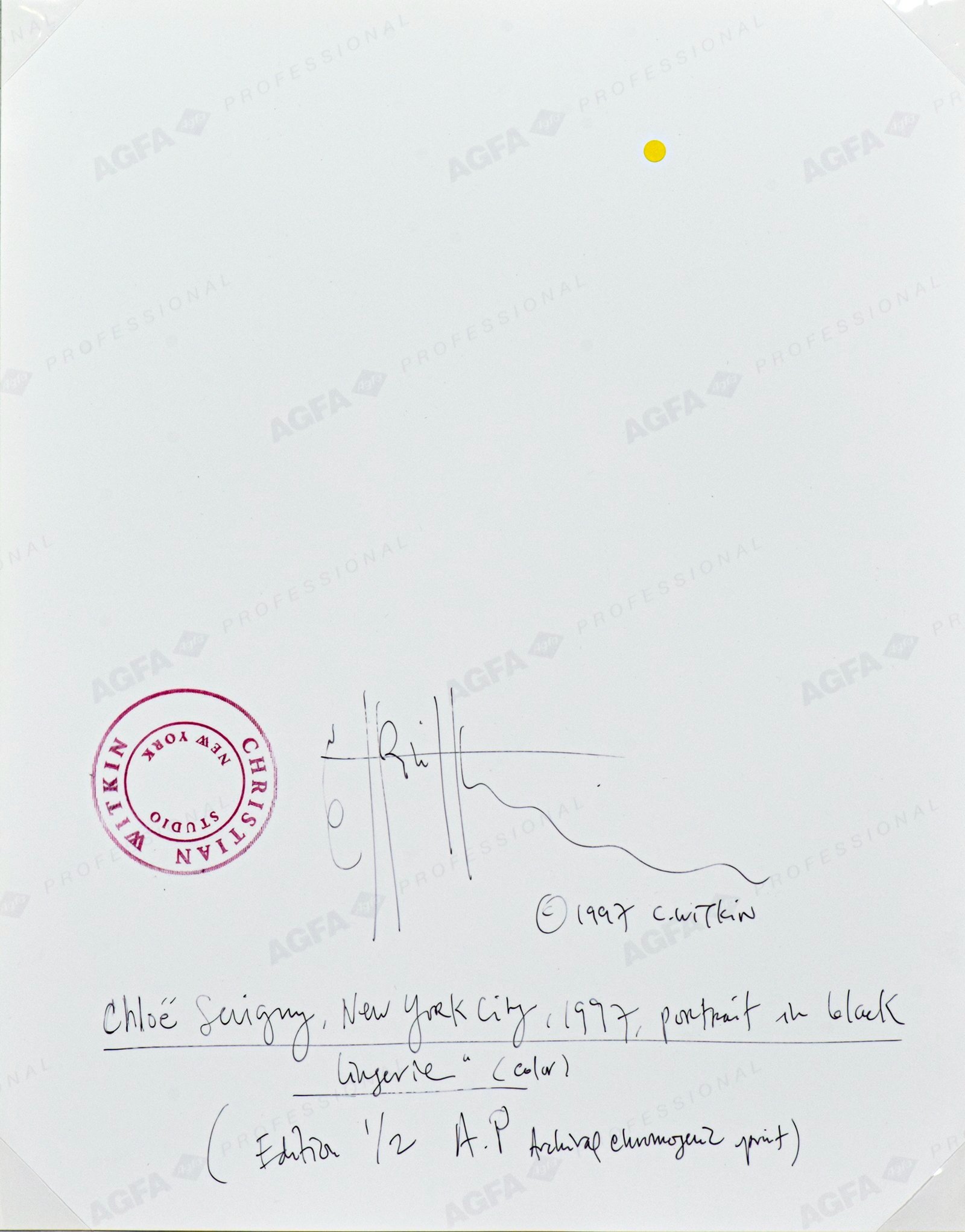 CHLOE+SEVIGNY_NYC+1997_PORTRAIT+IN+BLACK+LINGERIE_VERSO.jpg