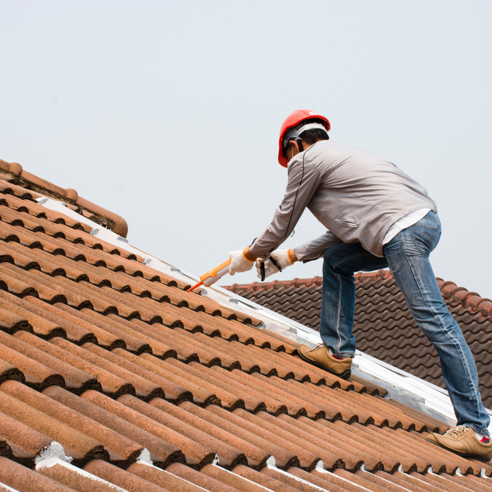 Roofing Company In Columbia Sc