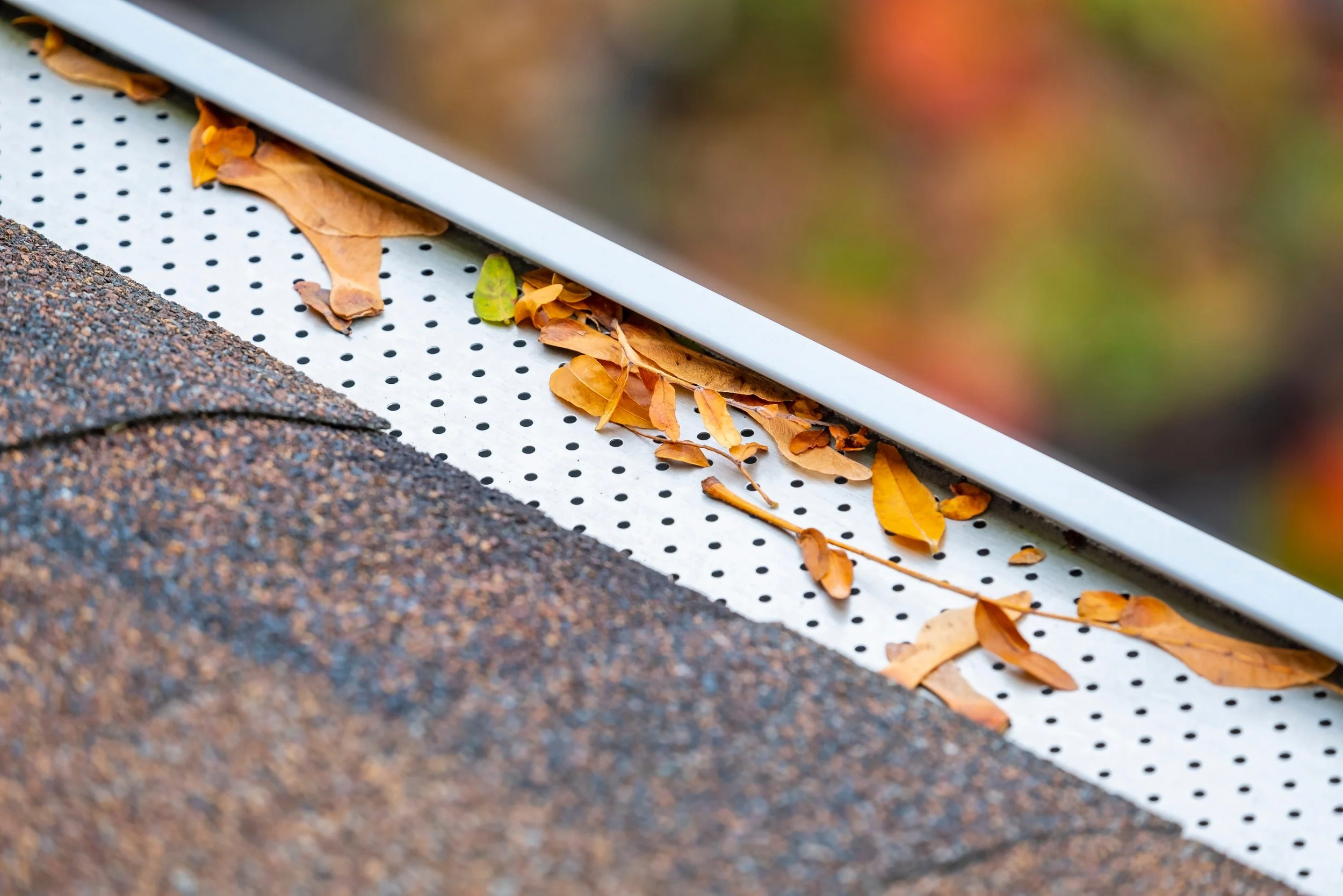 Gutter guard keeping fall leaves out of a home's gutter system