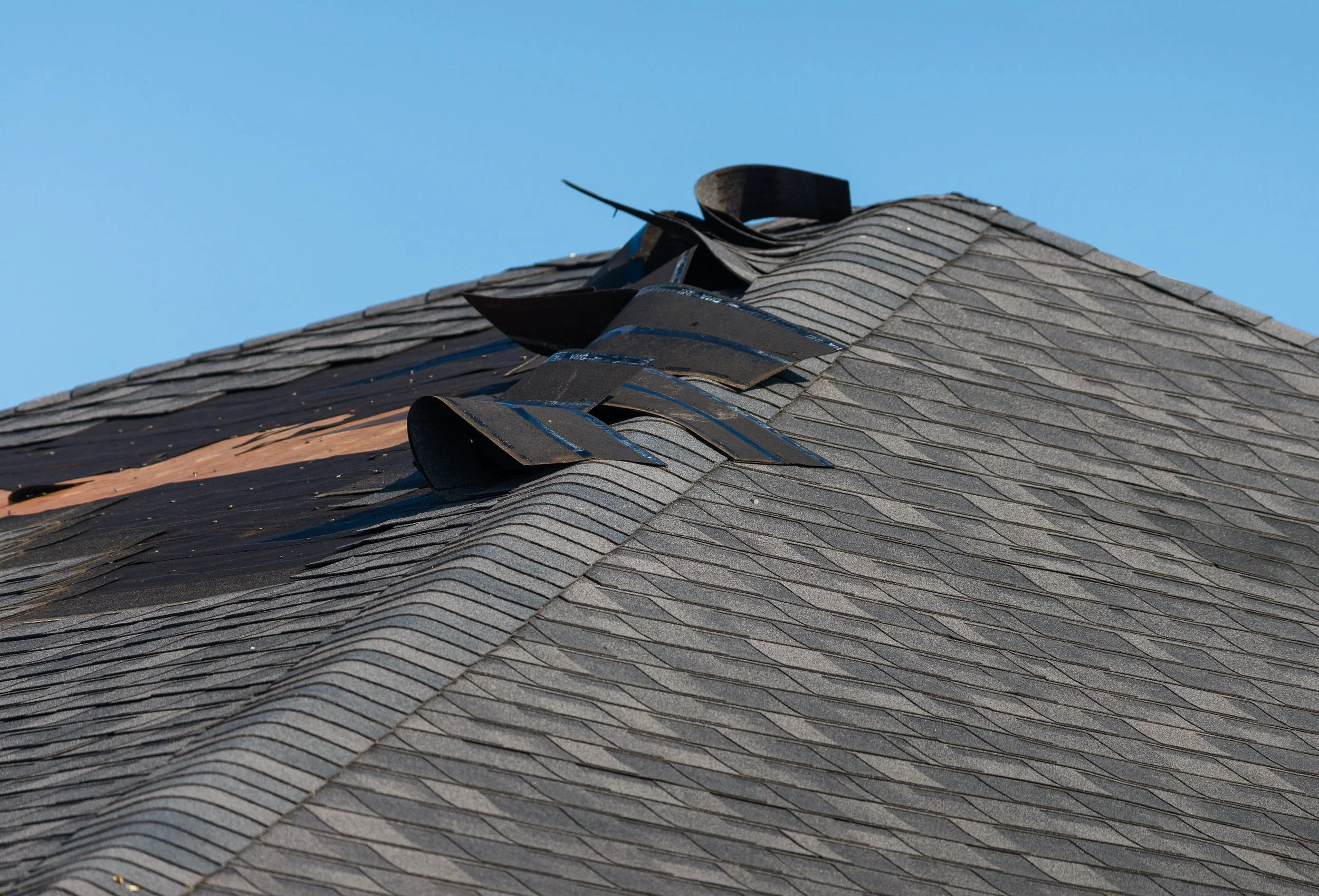 Curling and cracked asphalt shingles on a Louisville home roof showing signs of failure