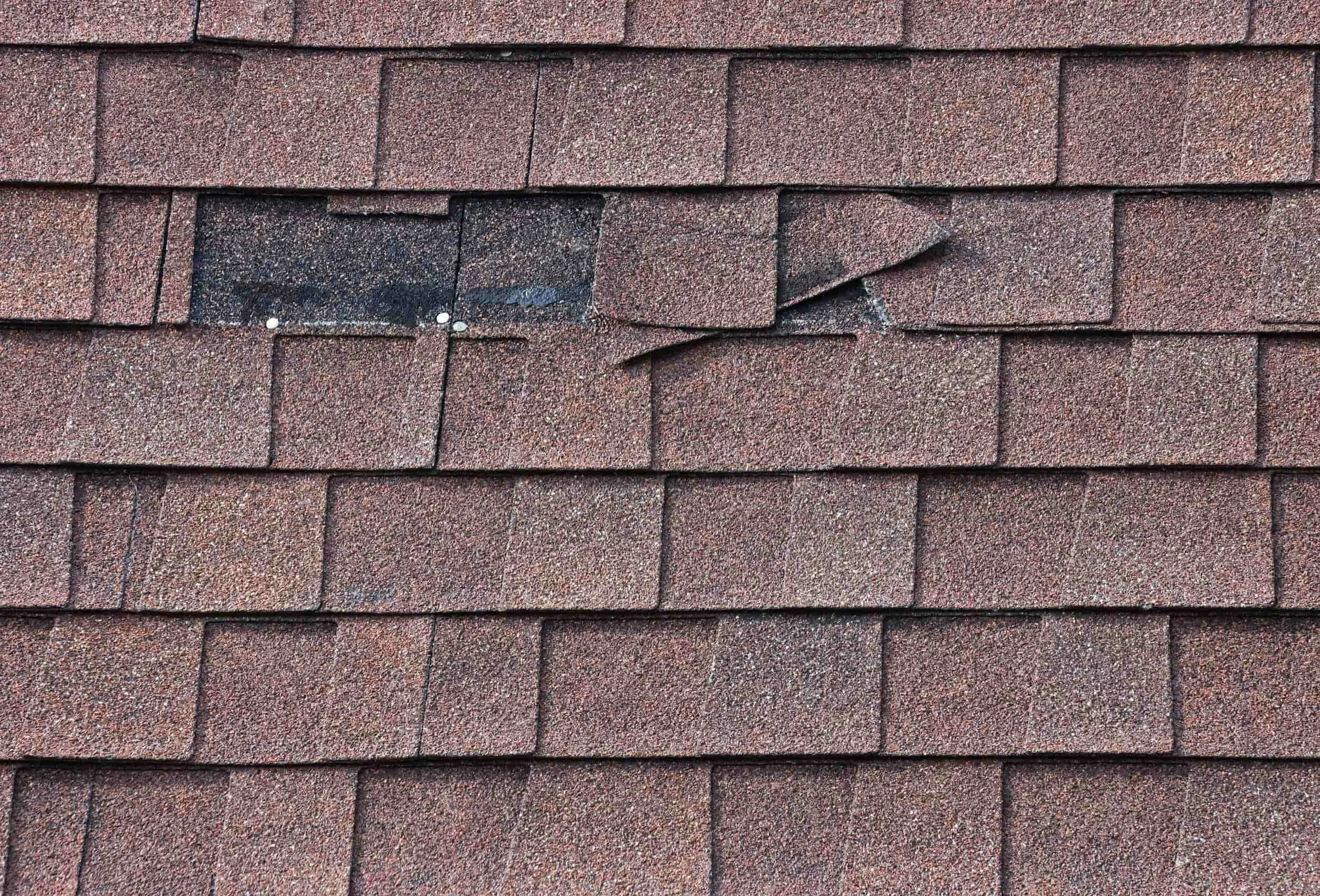 Close-up of missing and damaged asphalt shingles on a Louisville Kentucky roof