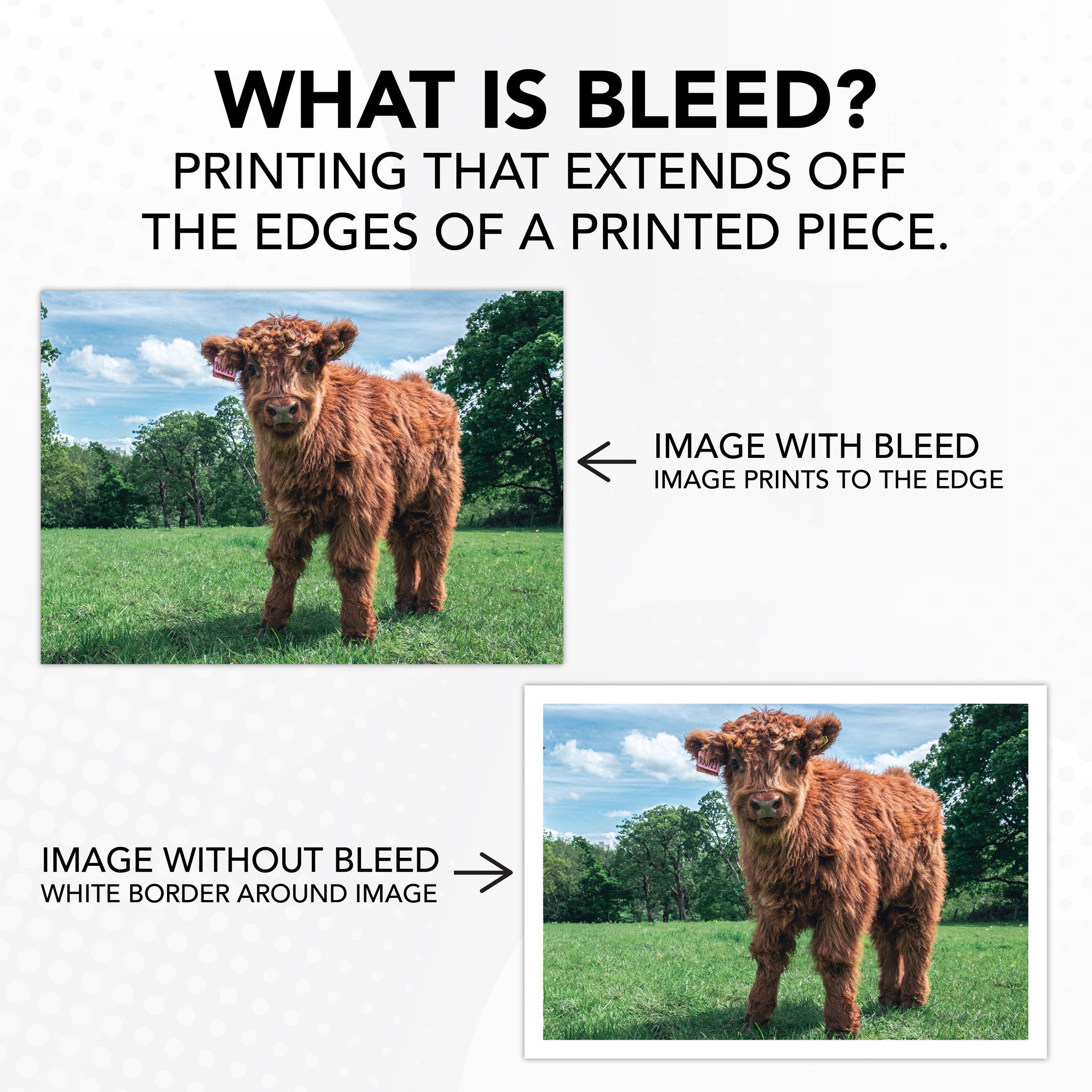 Visual comparison of an image with bleed and without bleed.