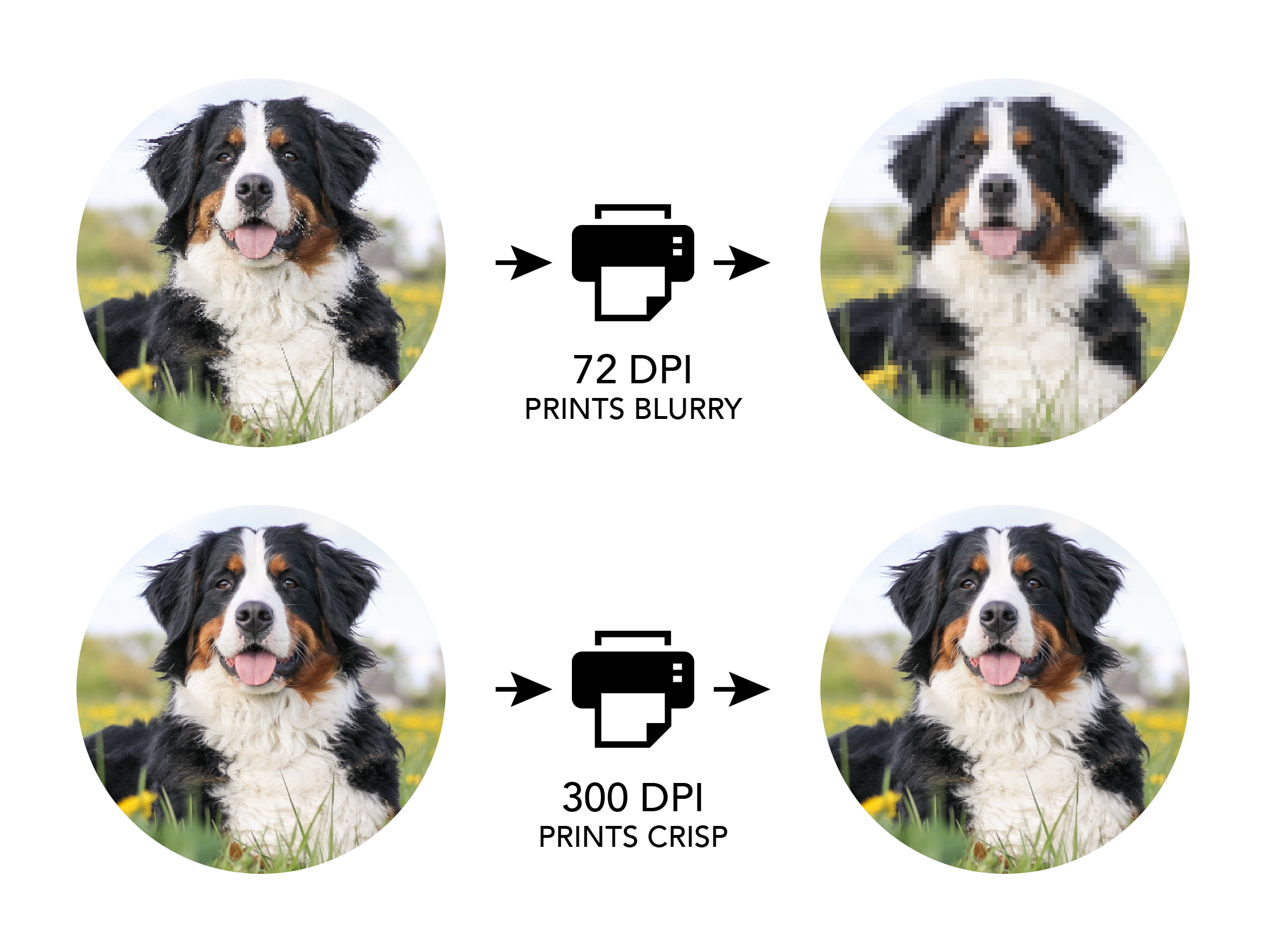 Print Quality - Image Resolution