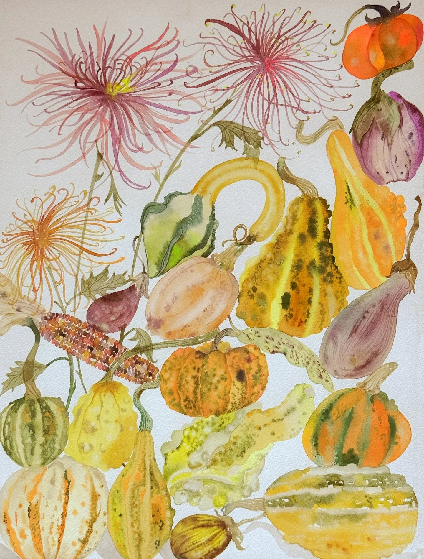 **FUNDRAISER**🌾
This week millions of Americans will sit down to share meals for thanksgiving and yet here in NYC 40% of families are unable to afford weekly food costs. One in five residents in NYC rely on SNAP benefits and some reports have shown 