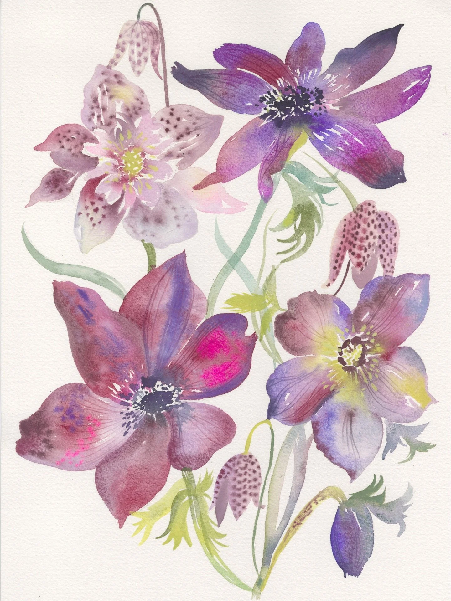 Hiya Spring 🙋🏻&zwj;♀️🌱

#cottagecoreart #contemporarywatercolor #floralinspo #botanicalwatercolor #whimsy