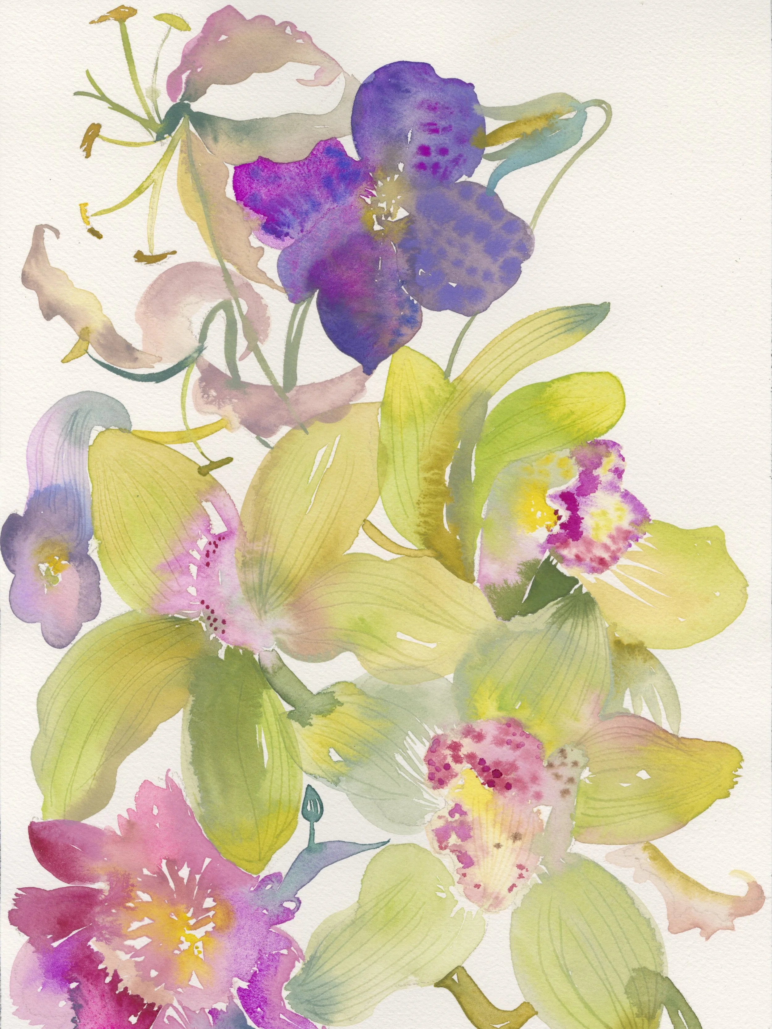6.3.26 
An AI antidote🌸

Not because technology is the enemy, but because attention is disappearing.

These paintings began with looking - really observing flowers. Their awkwardness, their excess, their brief existence.

Nothing here was generated.