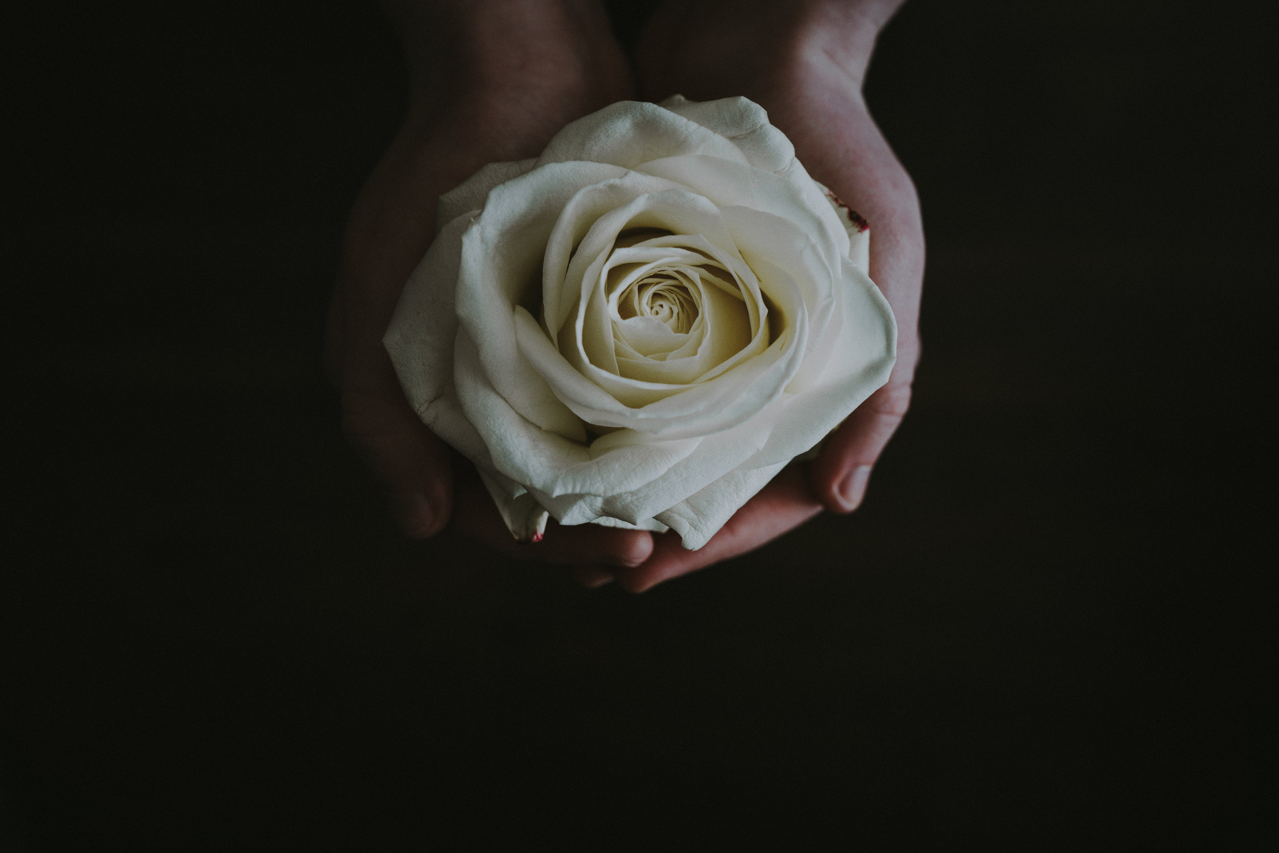 Beauty for Ashes