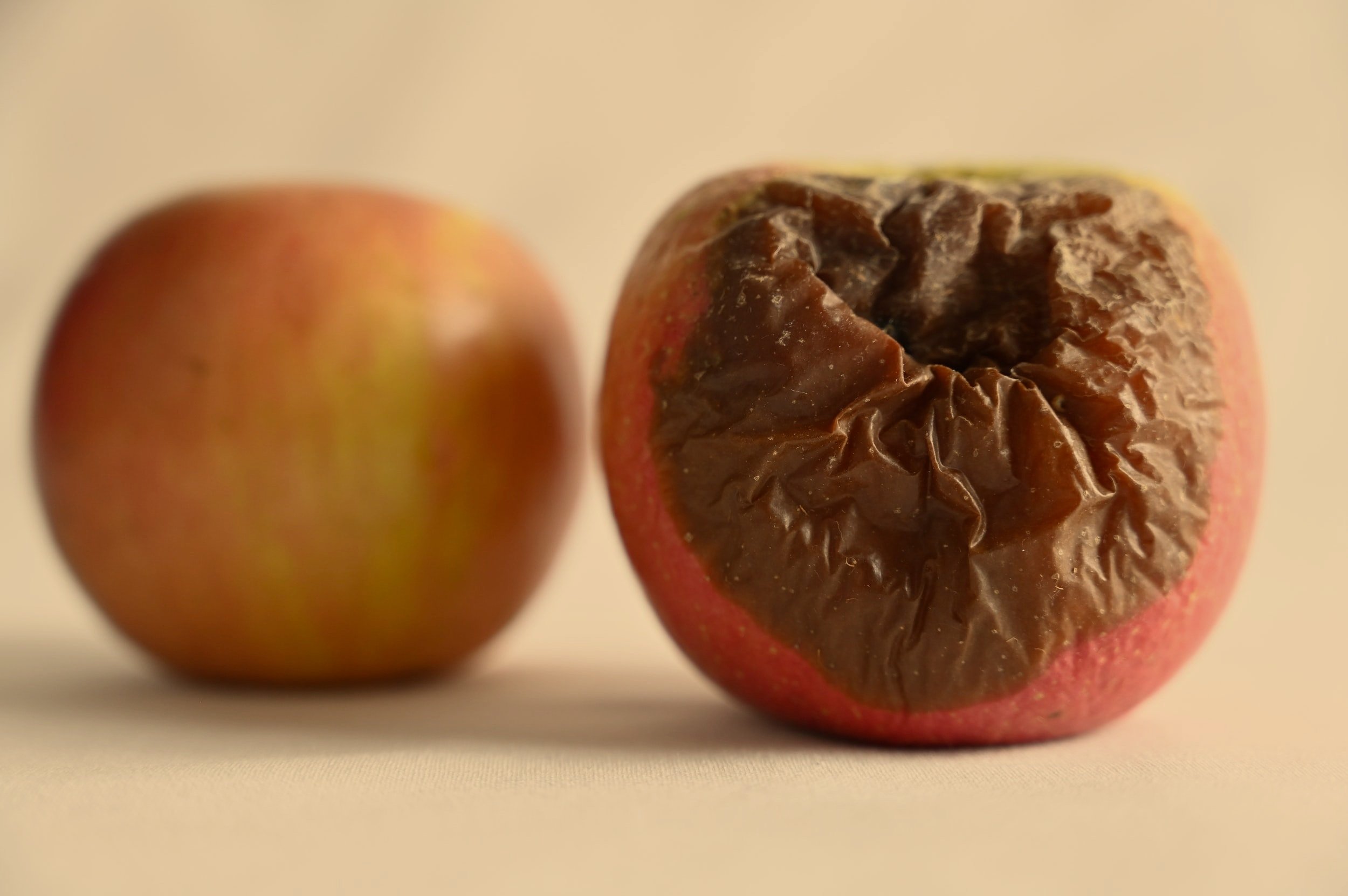 You will know them by their fruits