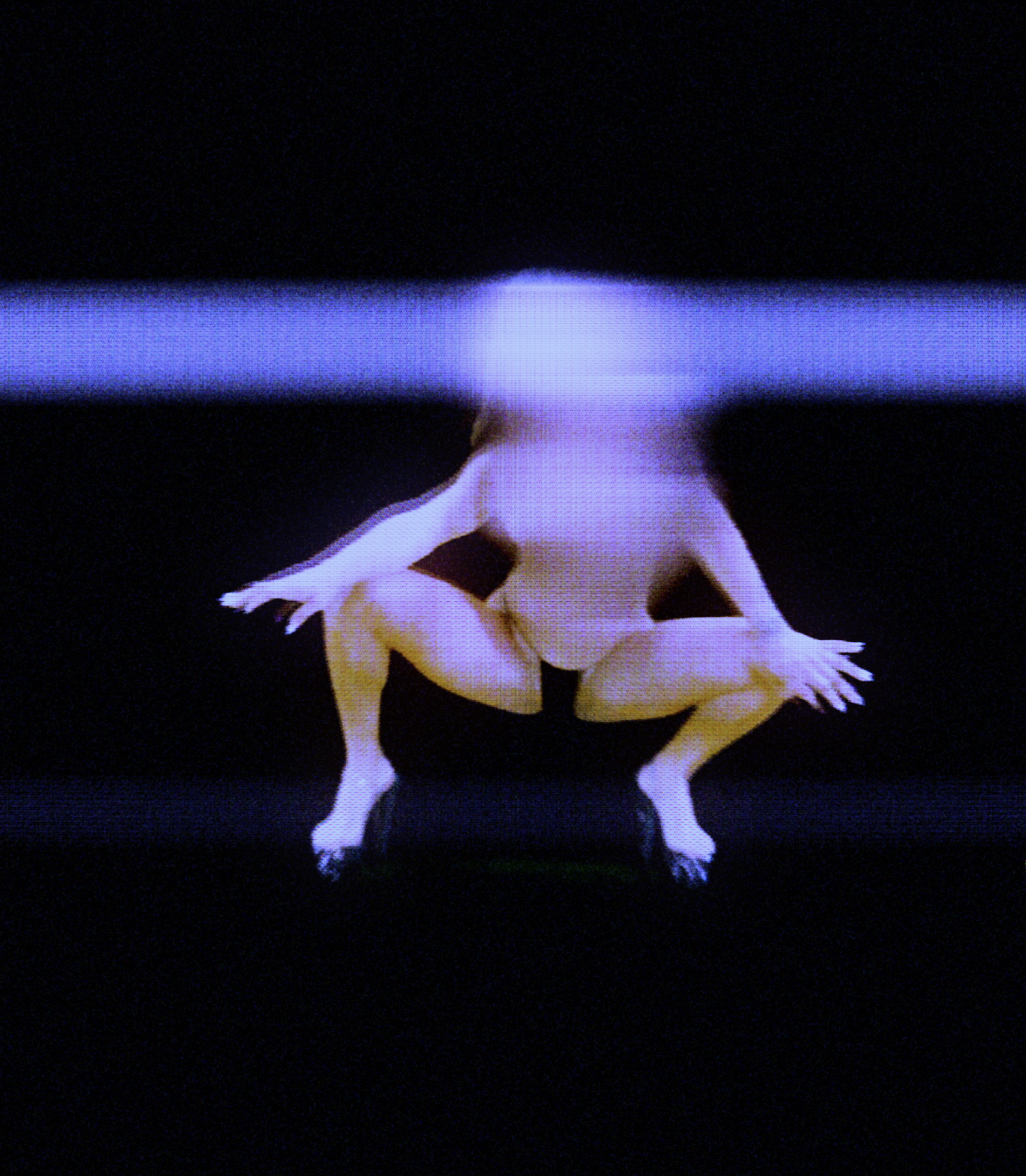 Capture d’écran 2023-03-04 à 09.02.54.png