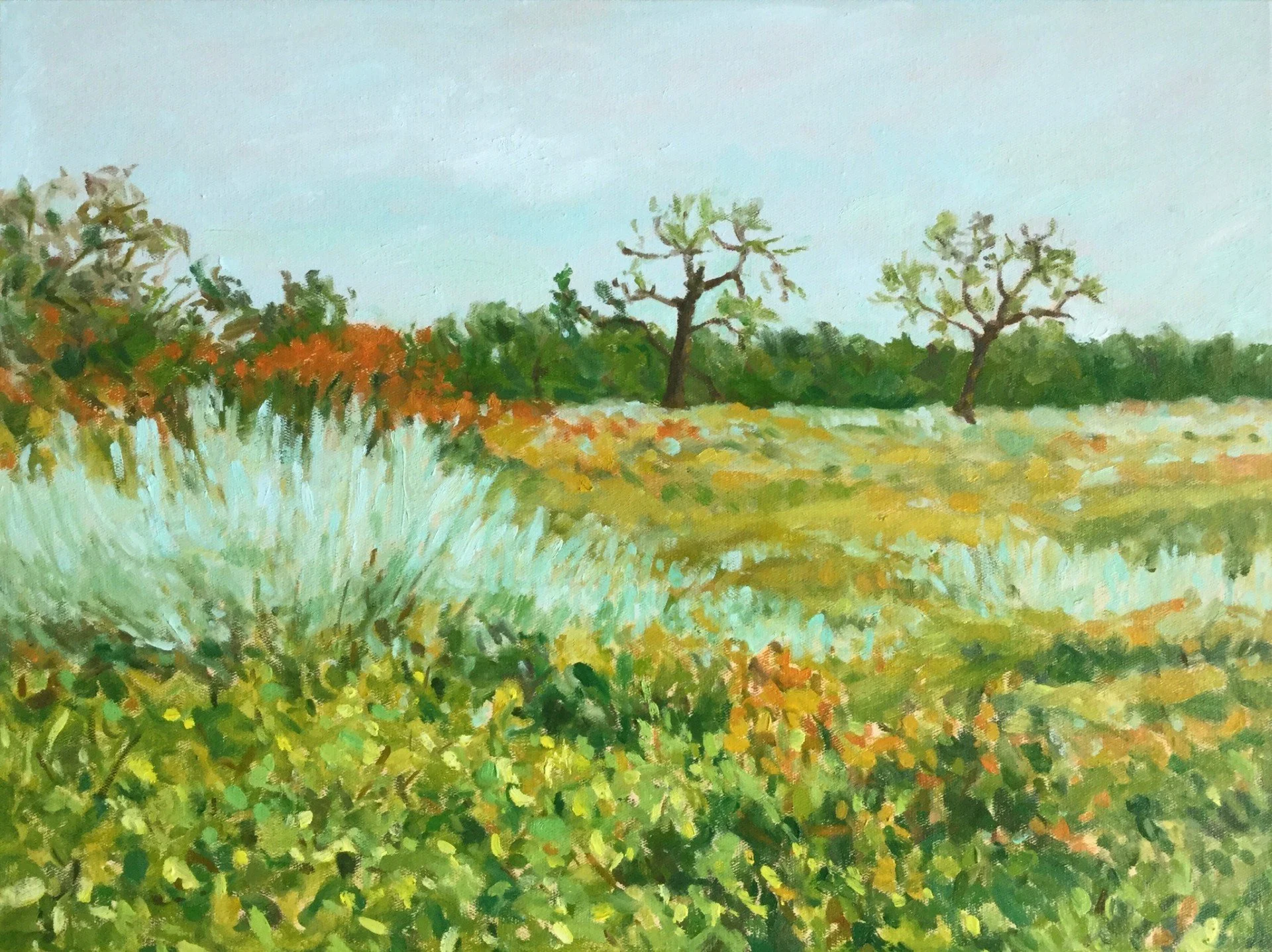 Cottonwoods - Perseverance.jpg