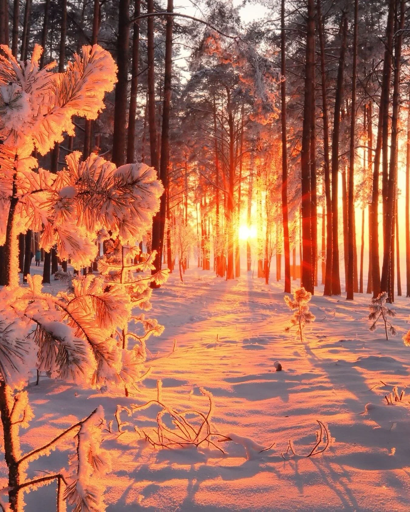 En cette p&eacute;riode post Solstice d&rsquo;hiver, il est bon de sortir (un peu) de l&rsquo;inertie naturelle tamas induite par le froid et l&rsquo;obscurit&eacute;. Le retour du soleil nous invite &agrave; initier un mouvement, non pas le mouvemen
