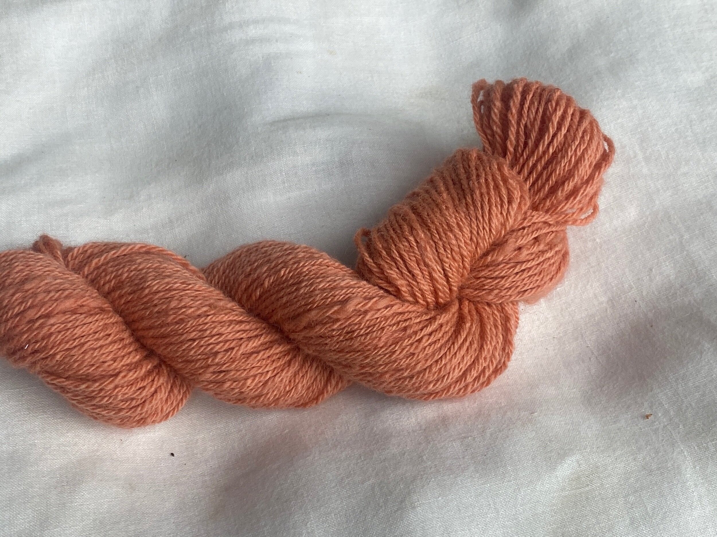 Madder &amp; Hibiscus - Coral