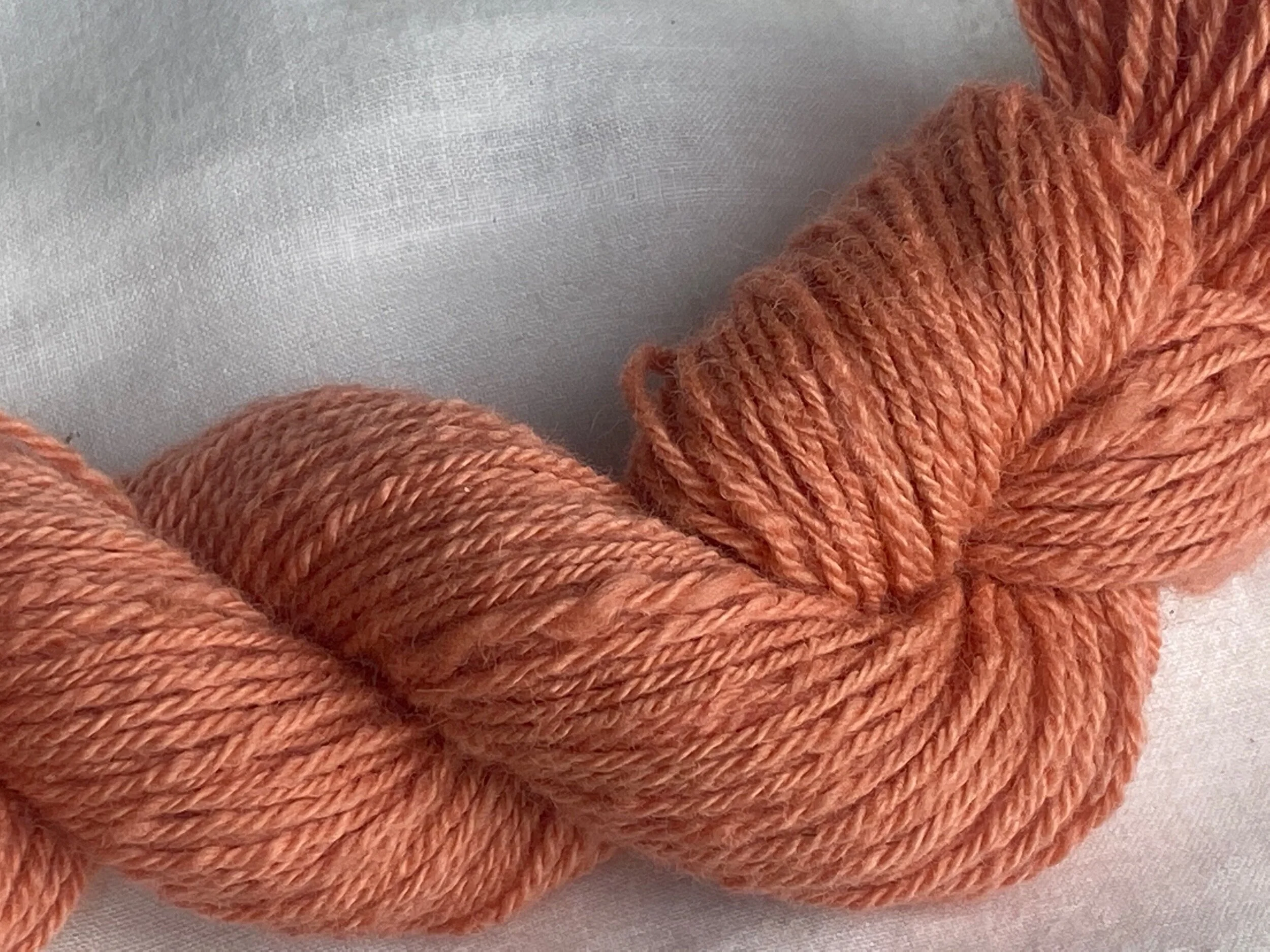 CBB1A518-71B6-42FB-9FED-005F049BEDF9