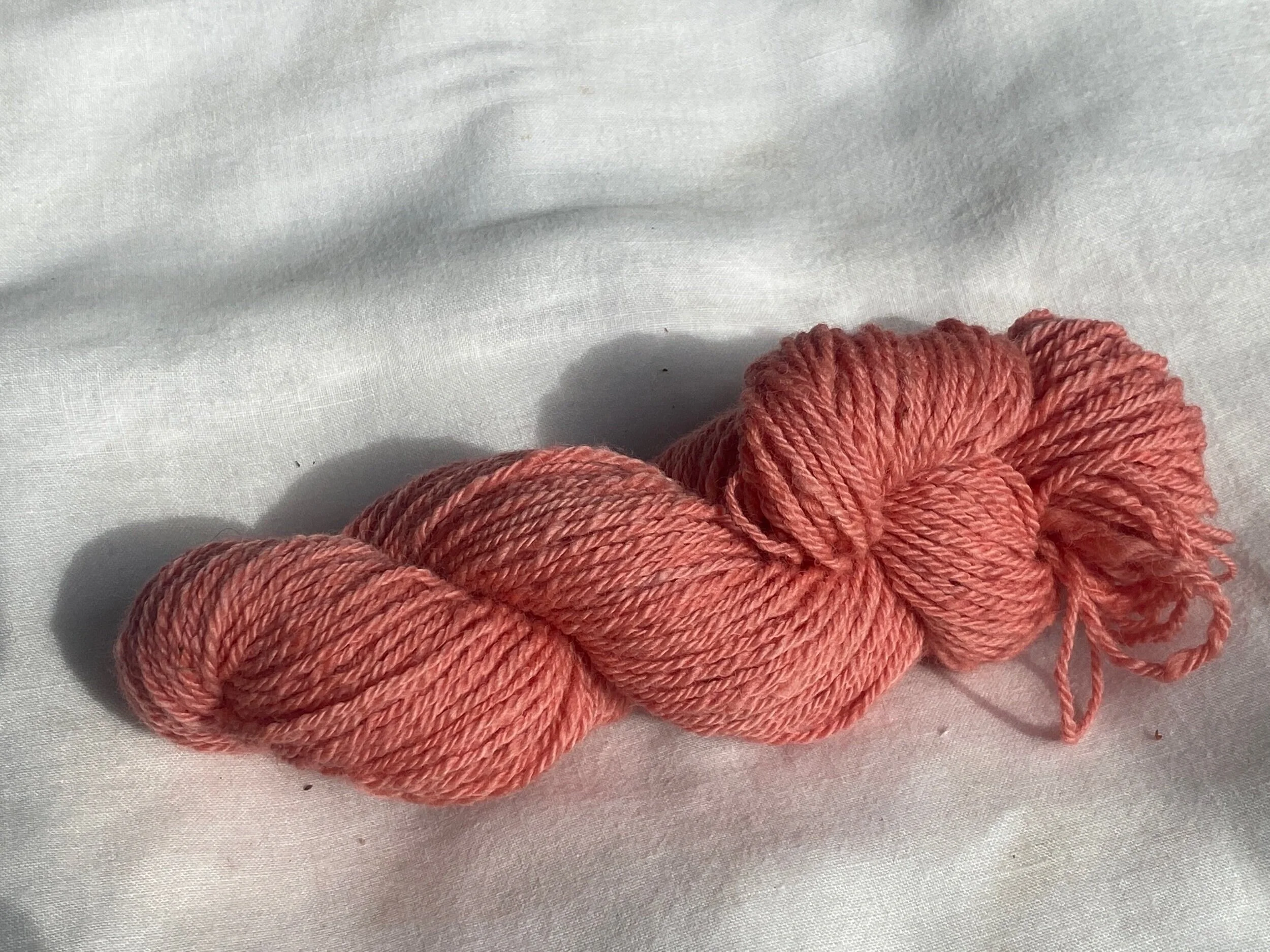 6BF229AE-9F17-47E9-B1AC-22F812E846E2