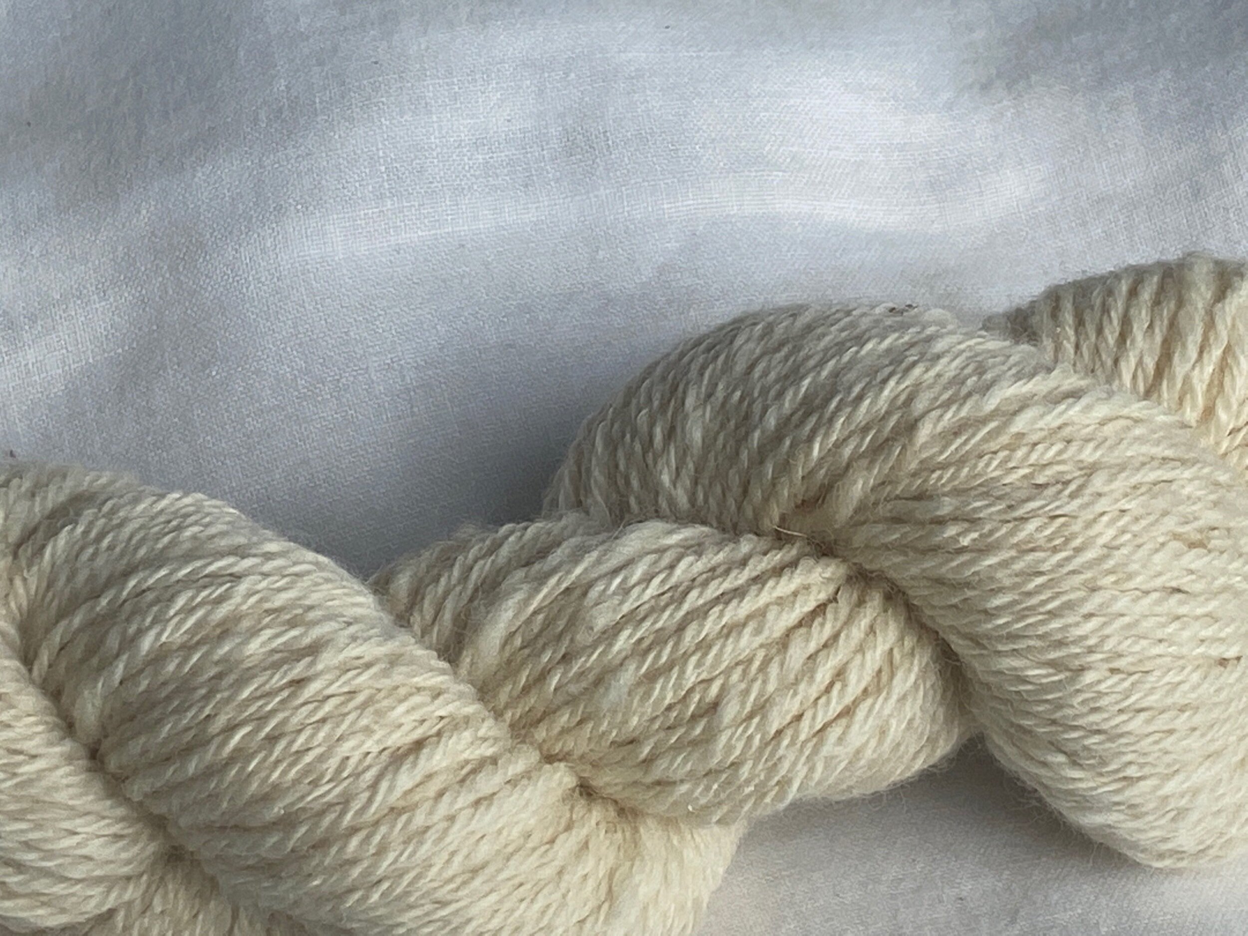 EBB39237-E1FE-41EE-9B1A-6A223D9C1E18