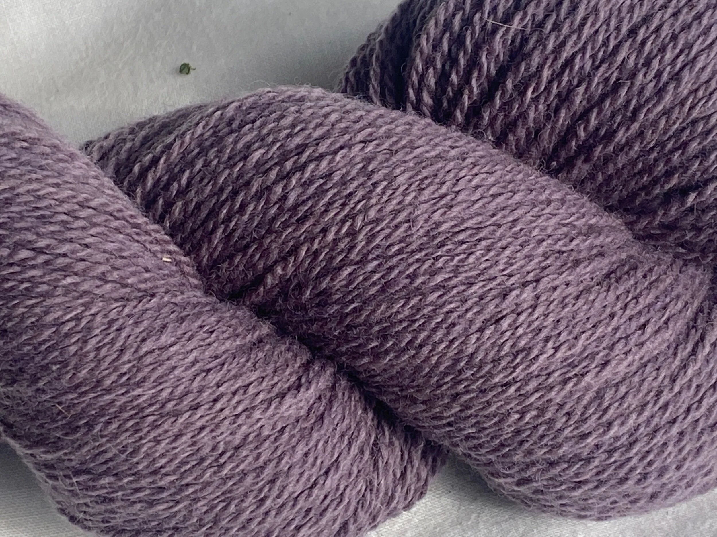 9A976A6E-0FF7-4298-A6E8-C0EAF93B6A8F