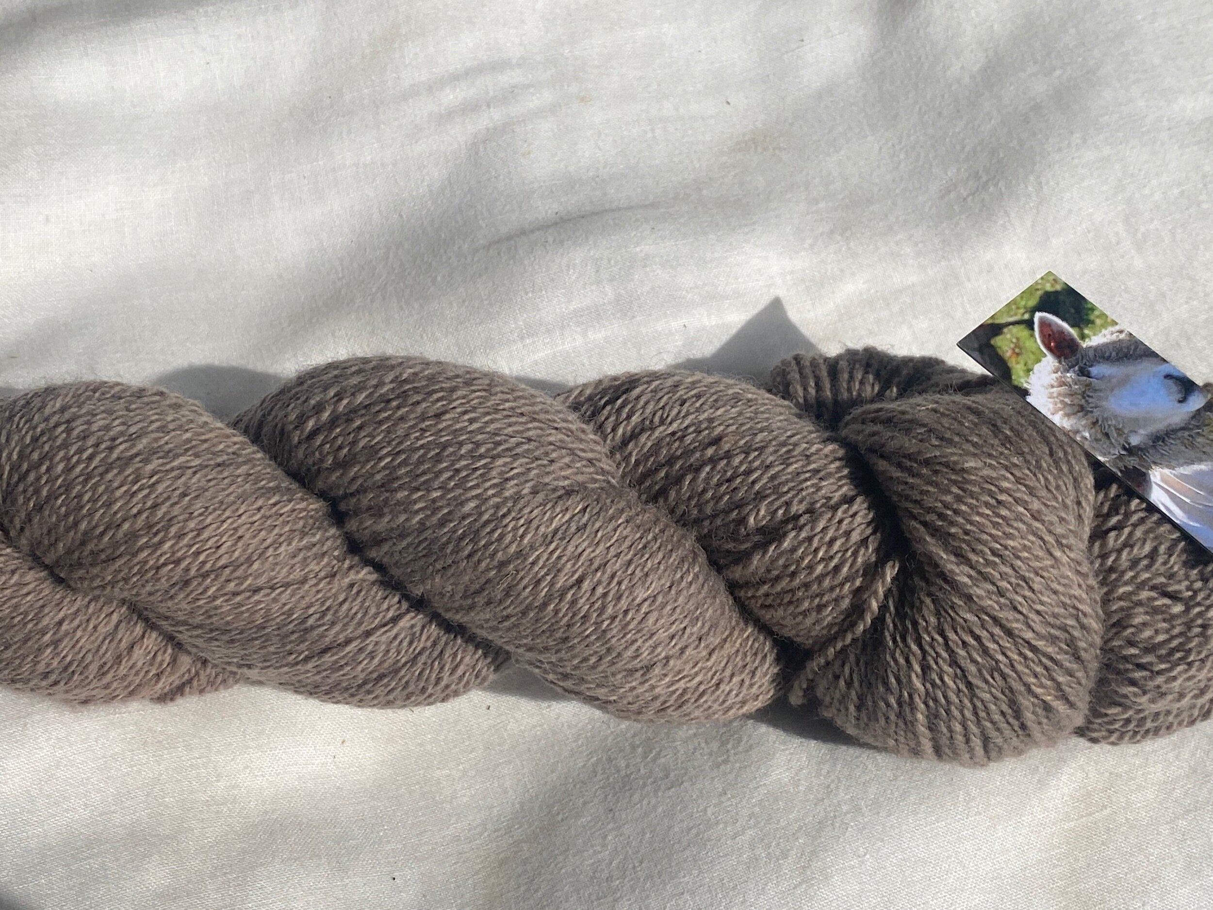 Alkanet - Smokey Gray #2