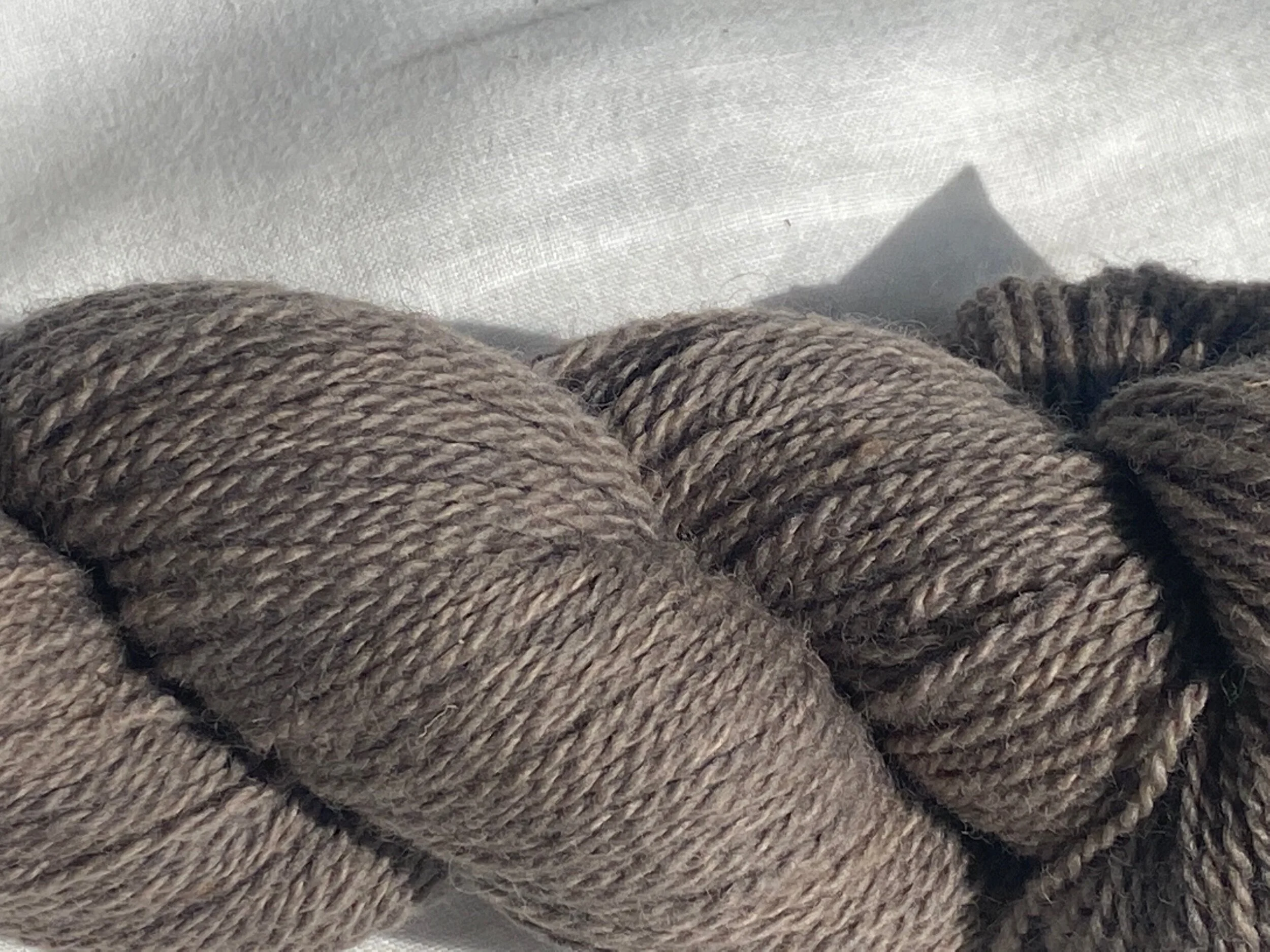 1C558DFC-9E71-4F6A-864C-60EE1C3DED1B