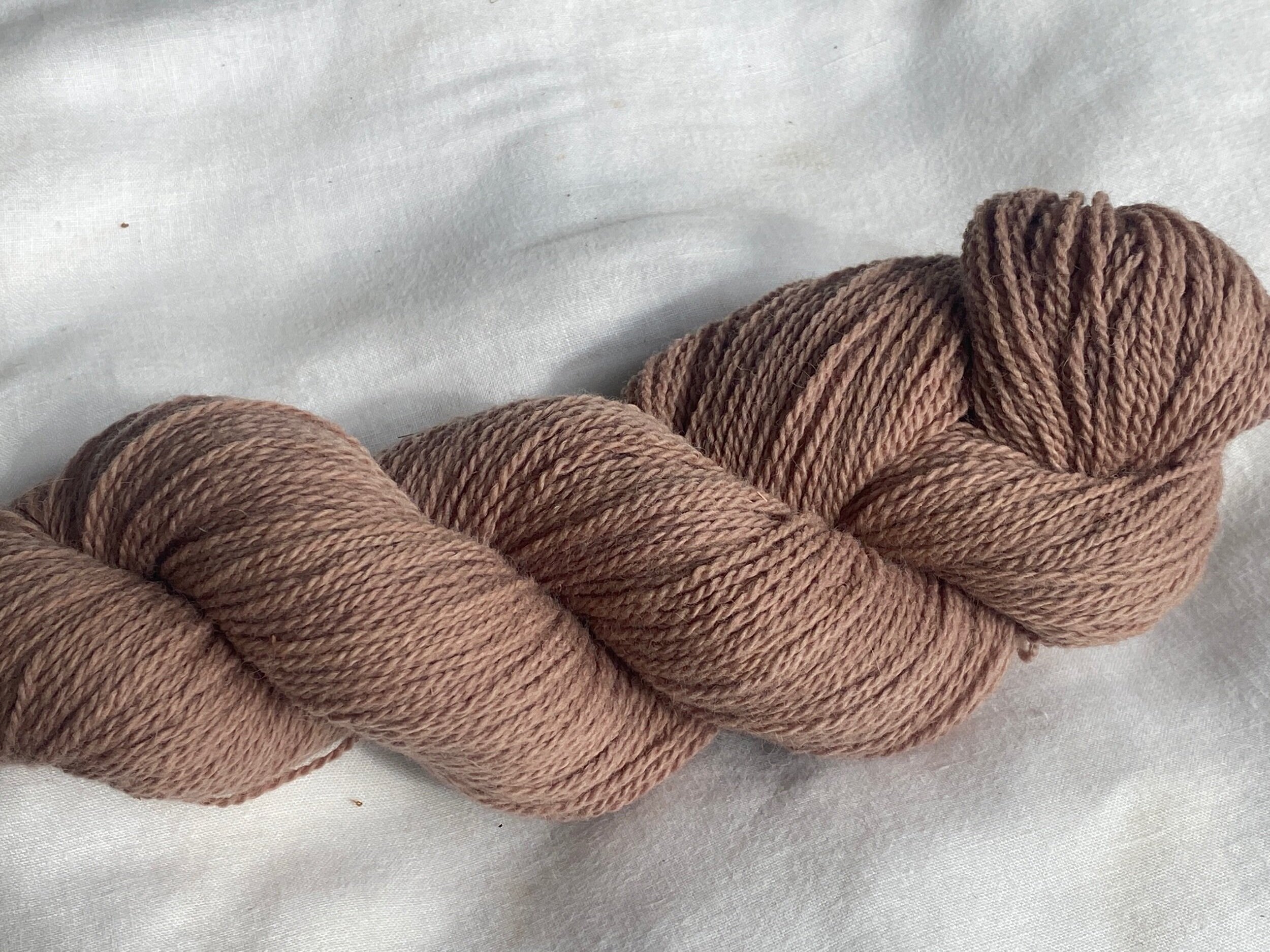 Logwood Exhaust - Coco Mauve