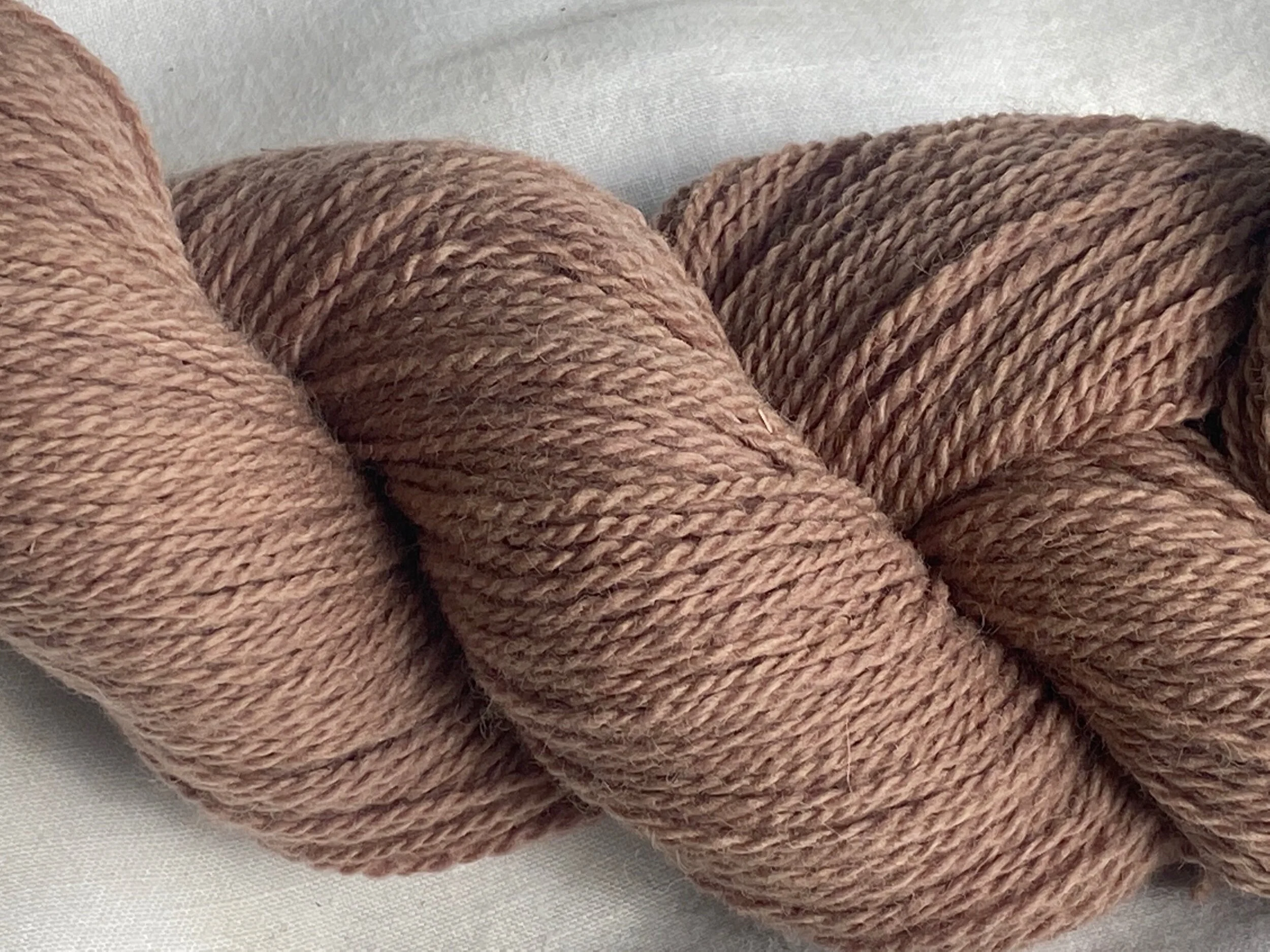 EFFD4D81-0245-40AB-B551-7BD6CF8FB572