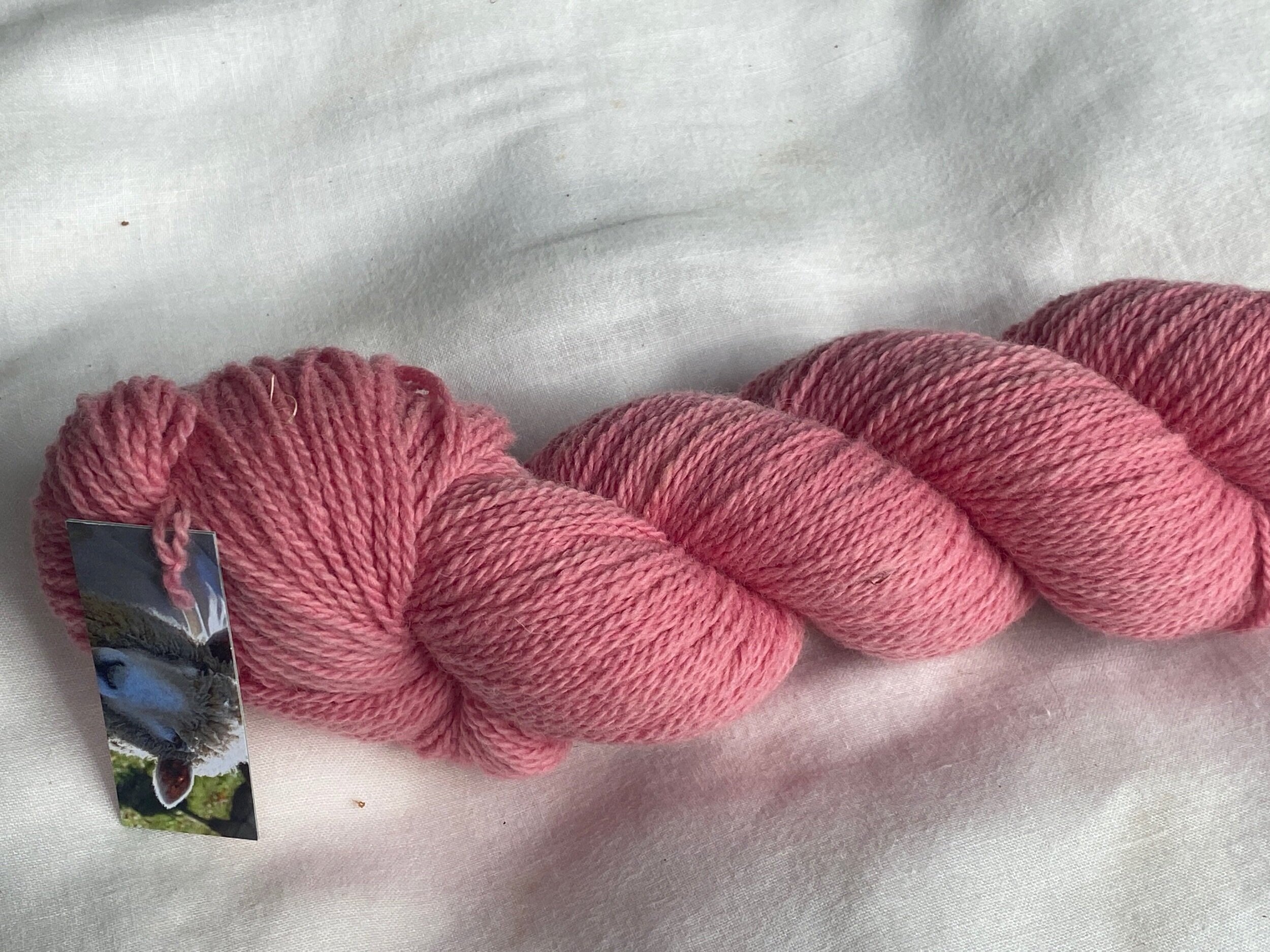 Cochineal - Double Bubble