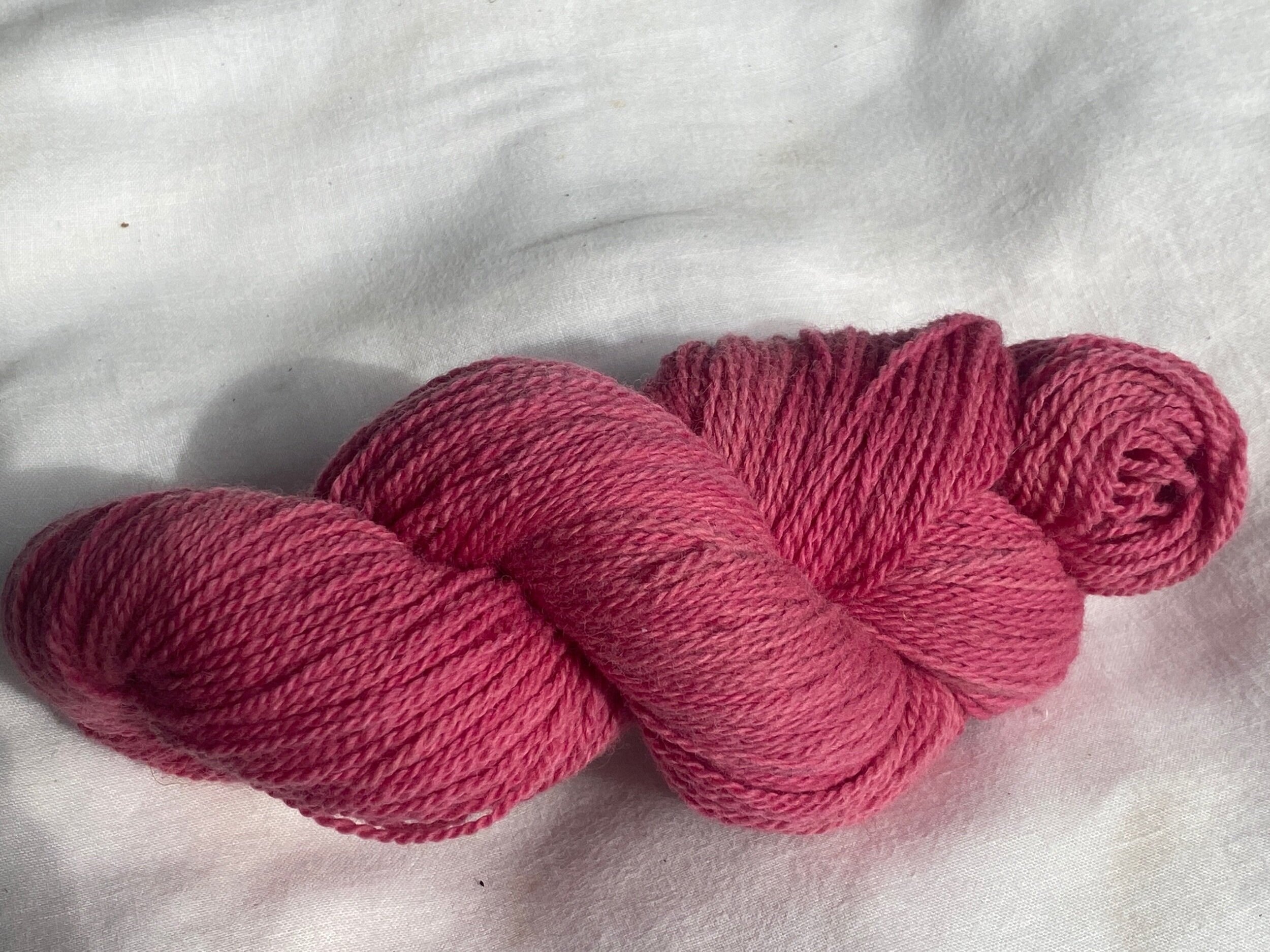 Cochineal - Raspberry #2