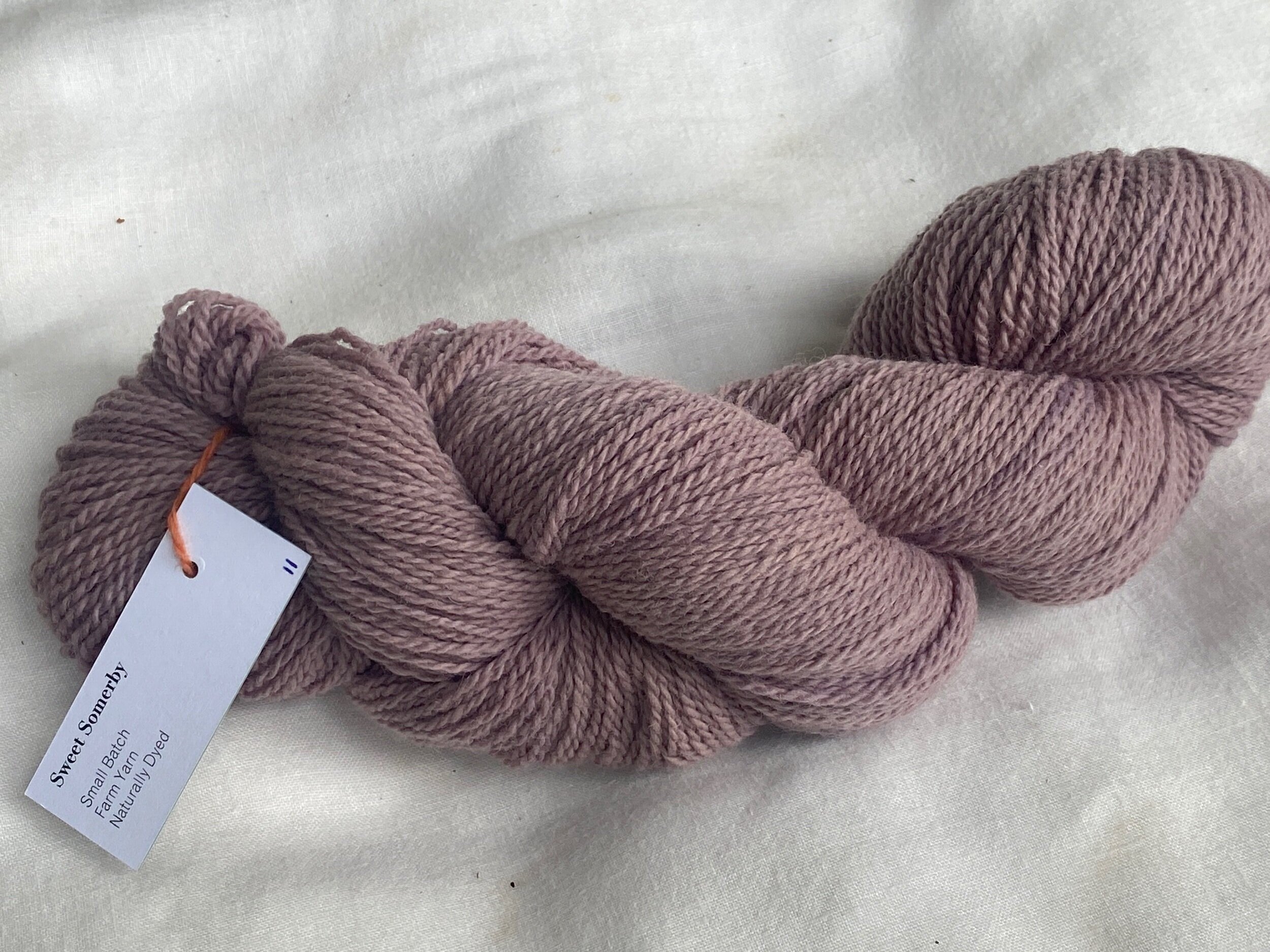 Logwood - October Aster