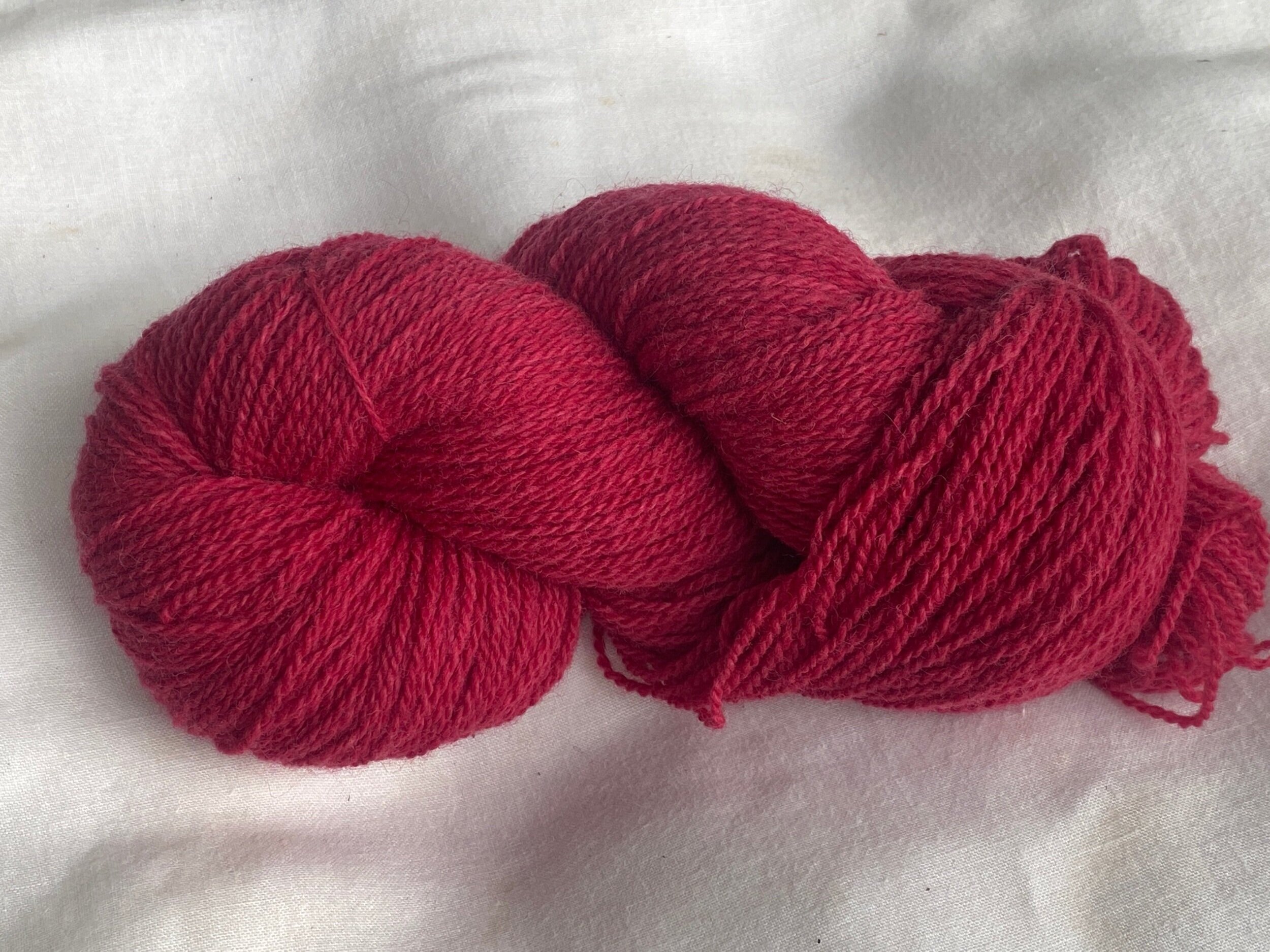 Cochineal - Cranberry