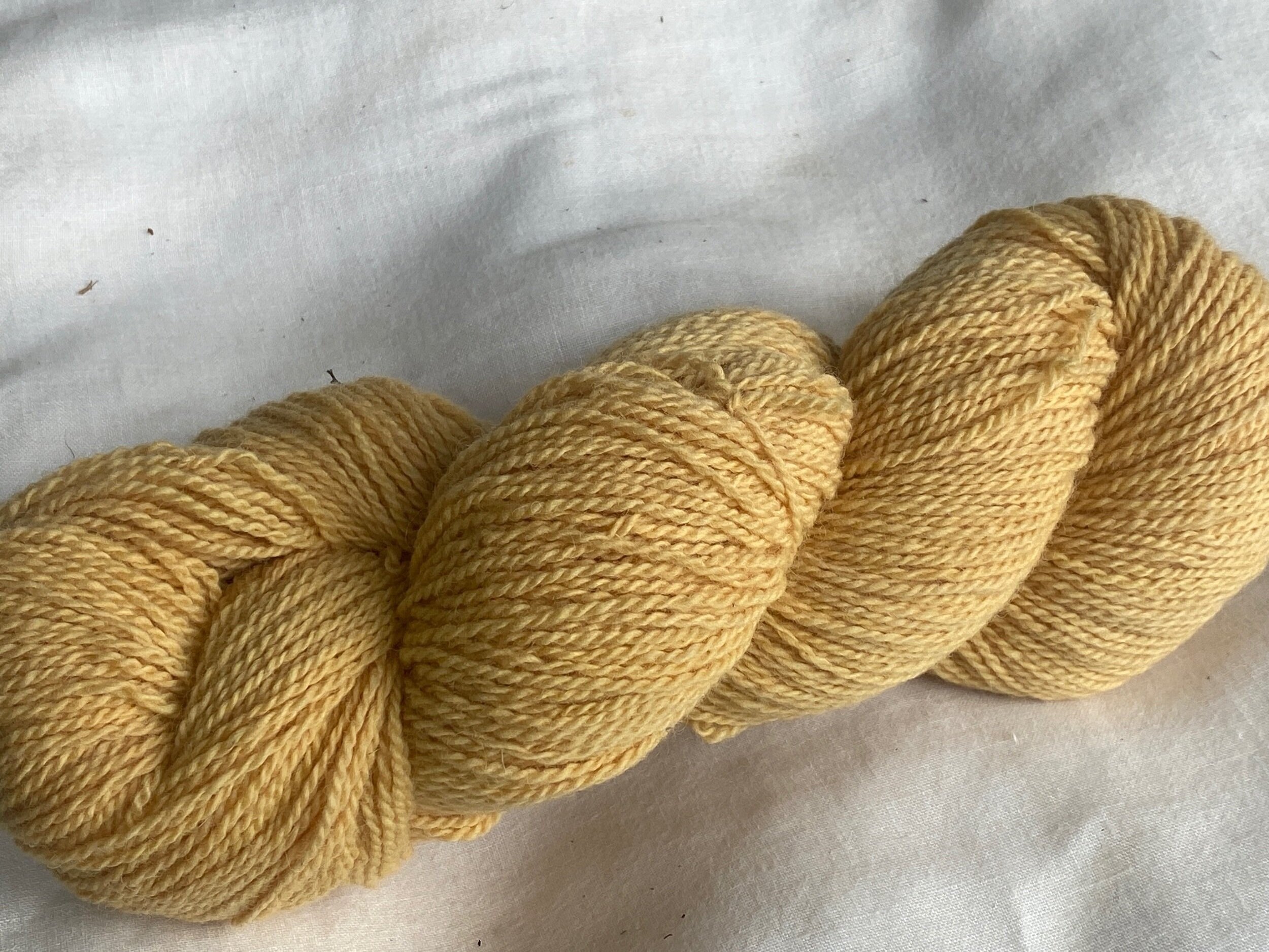 Goldenrod - Sunshine