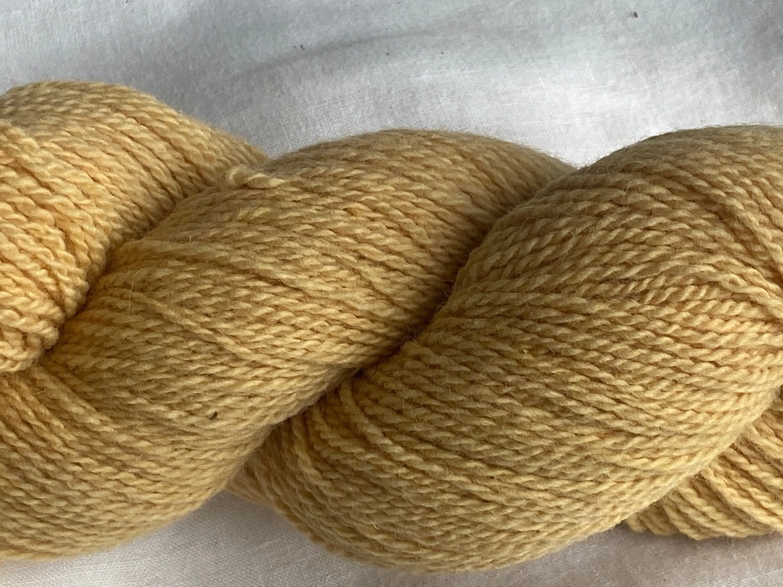 13298F4B-F924-4349-B924-6CFDDC918C9D