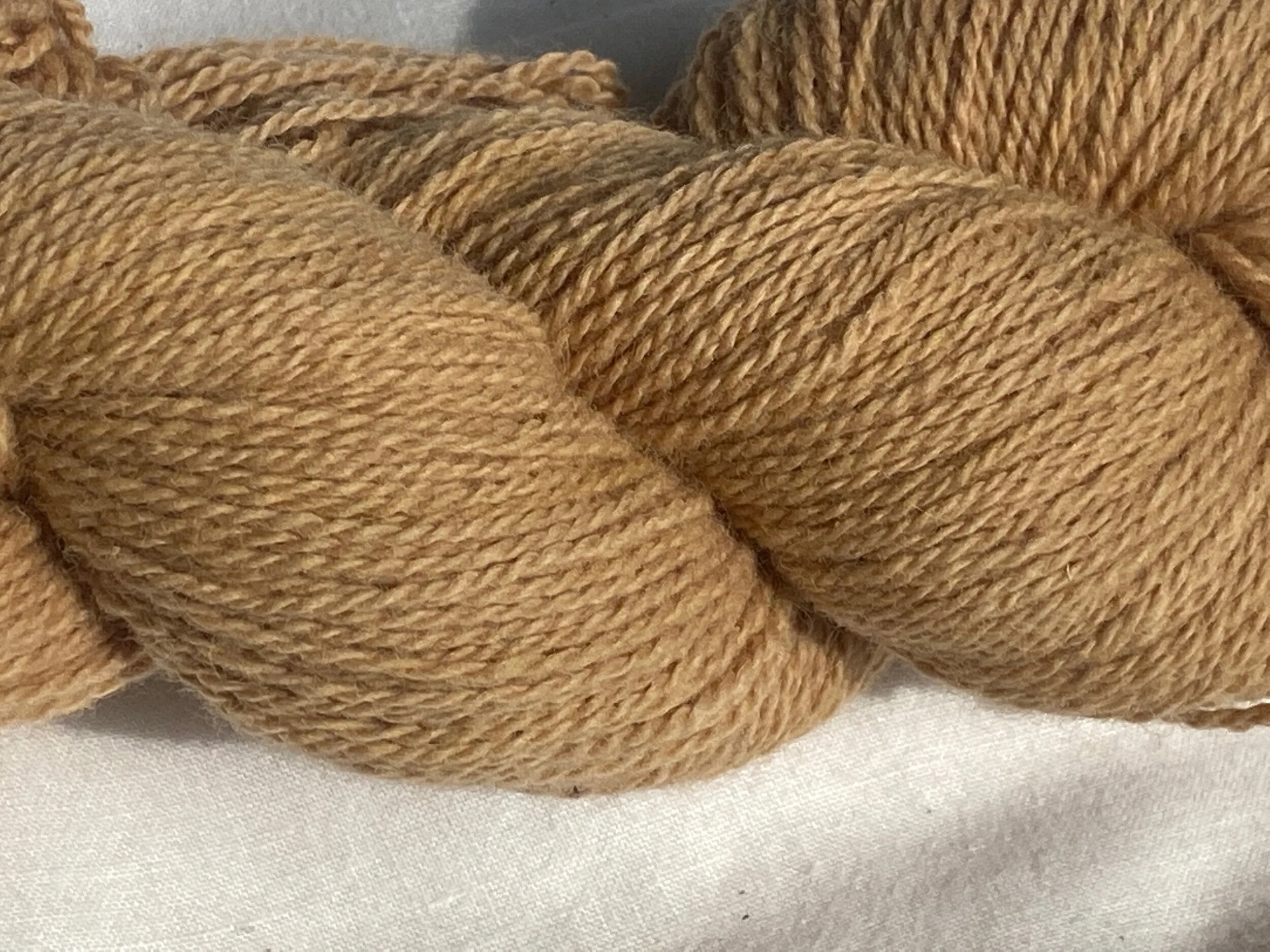 47B9E070-2210-4705-948E-3CA8ACDEBF67