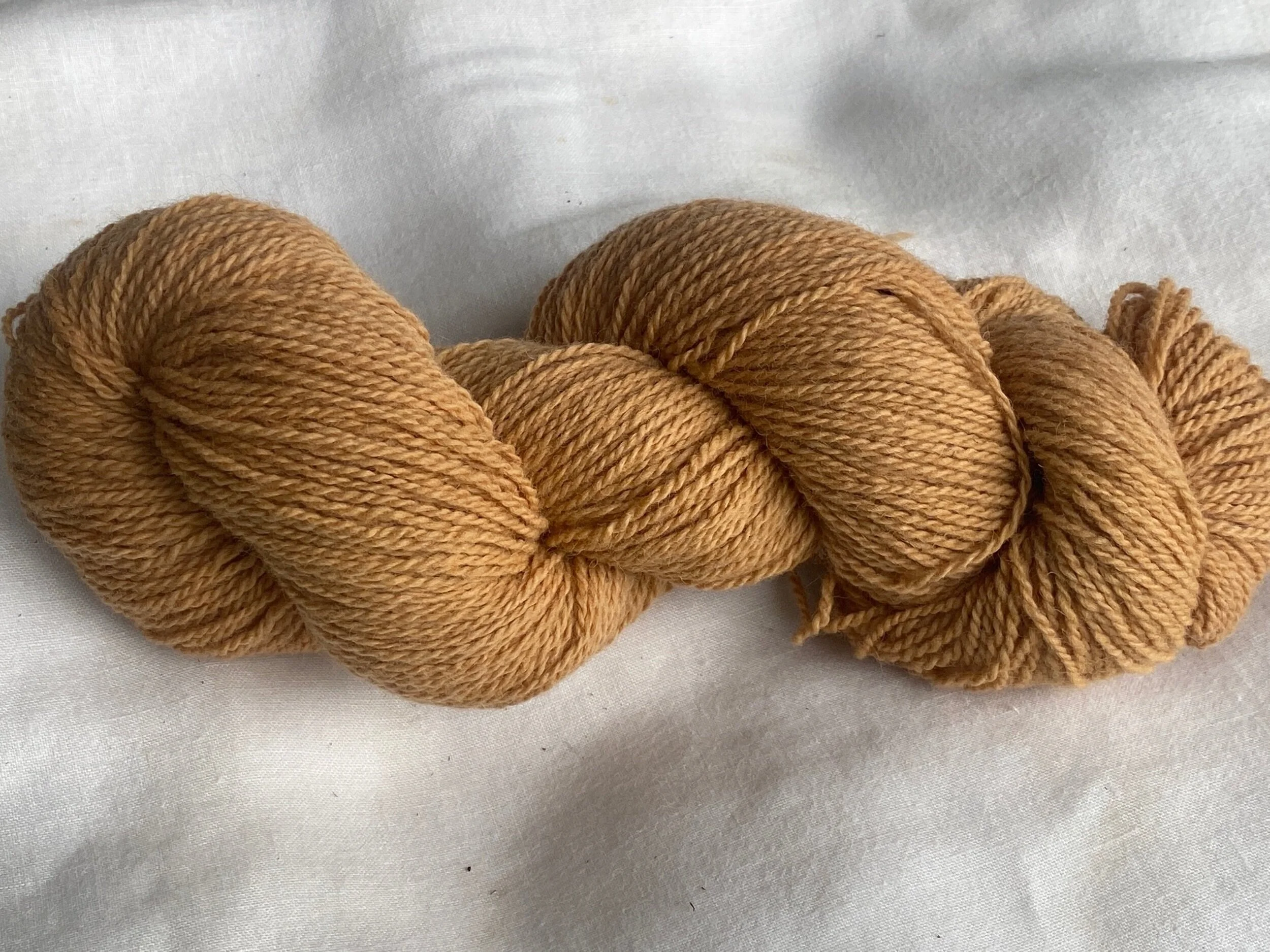 29E16C66-2CEE-45DF-84E3-495DEB478EE9