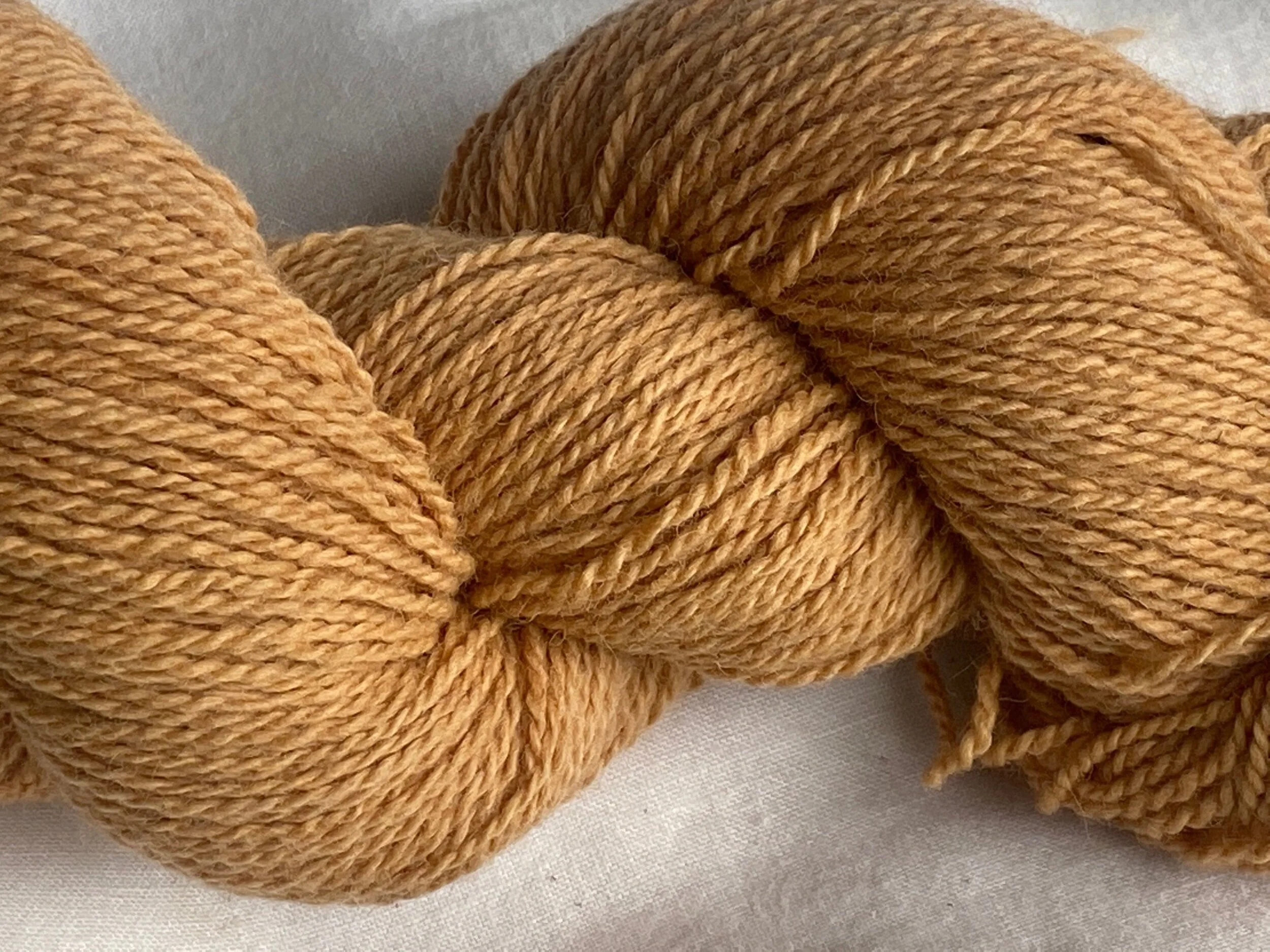 AAE09314-51BE-4591-9098-D629A4250950