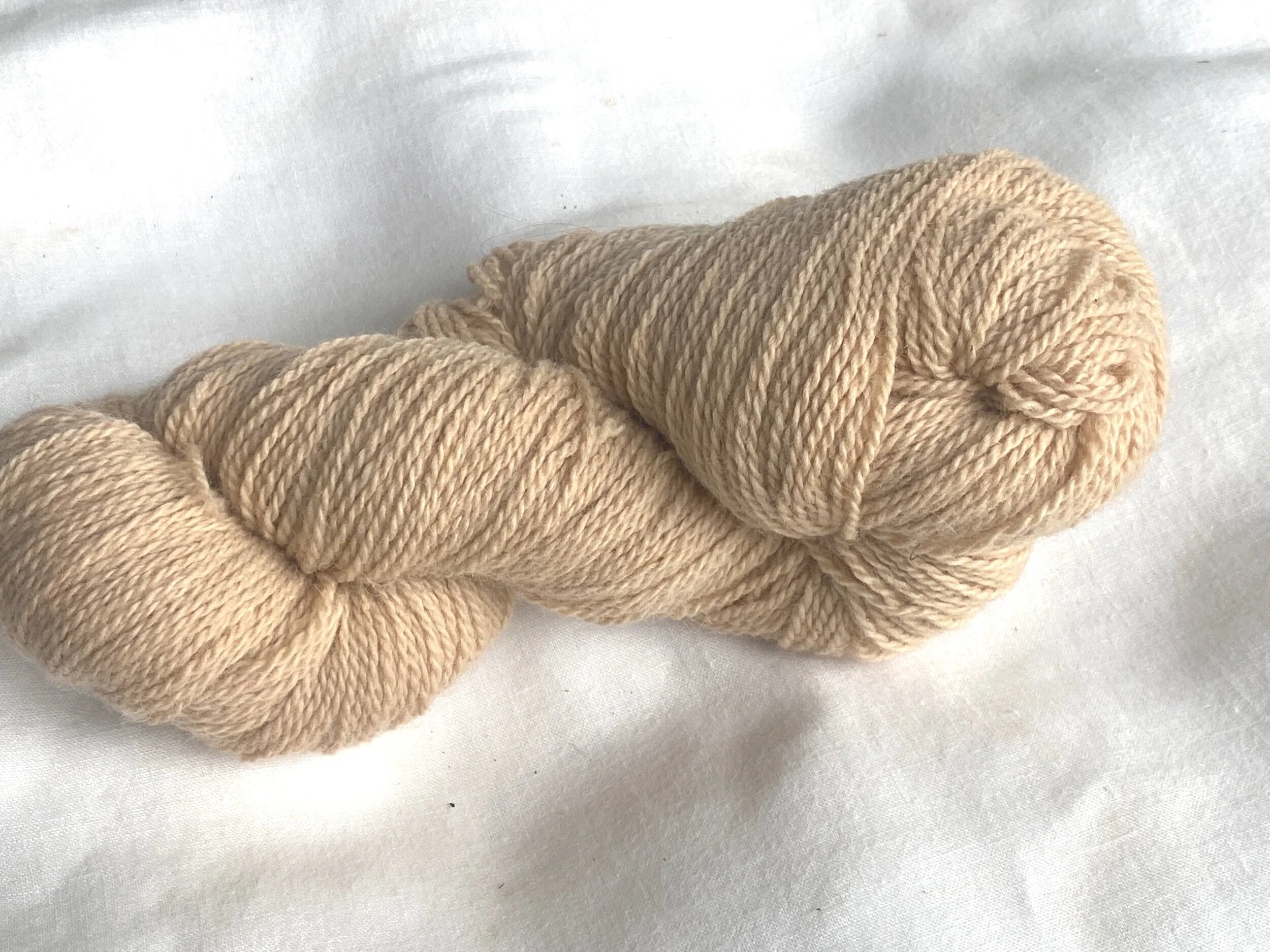 4034C48B-3BFE-4E90-ABDA-B5064CE8EB38