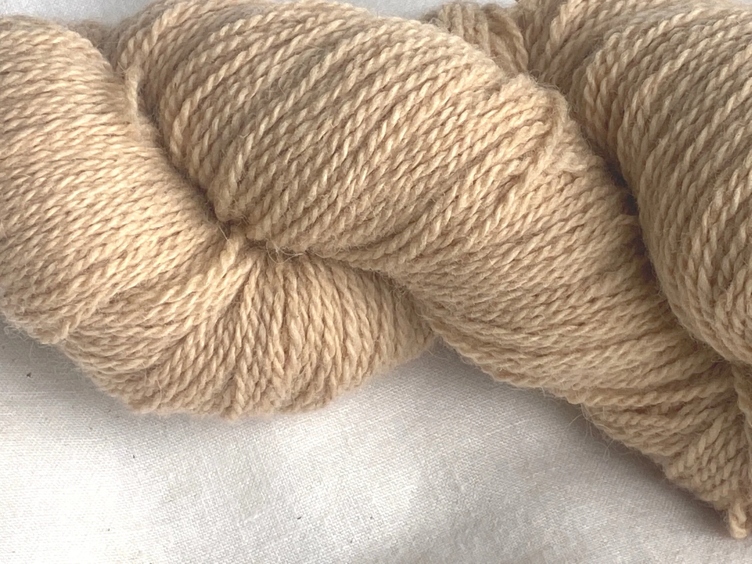 DEEBF274-5238-4CC9-9723-AFDAEF1EF672